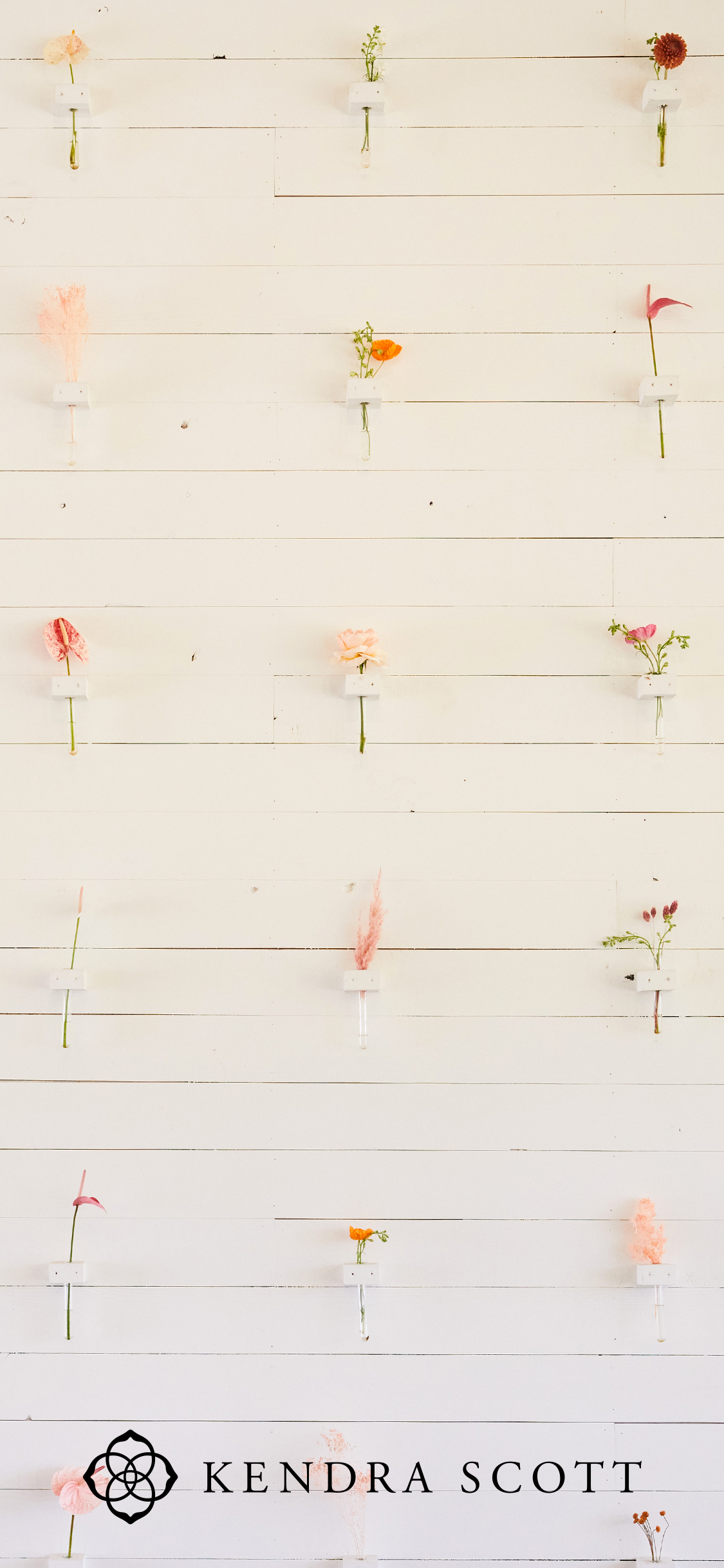 New Spring Digital Downloads