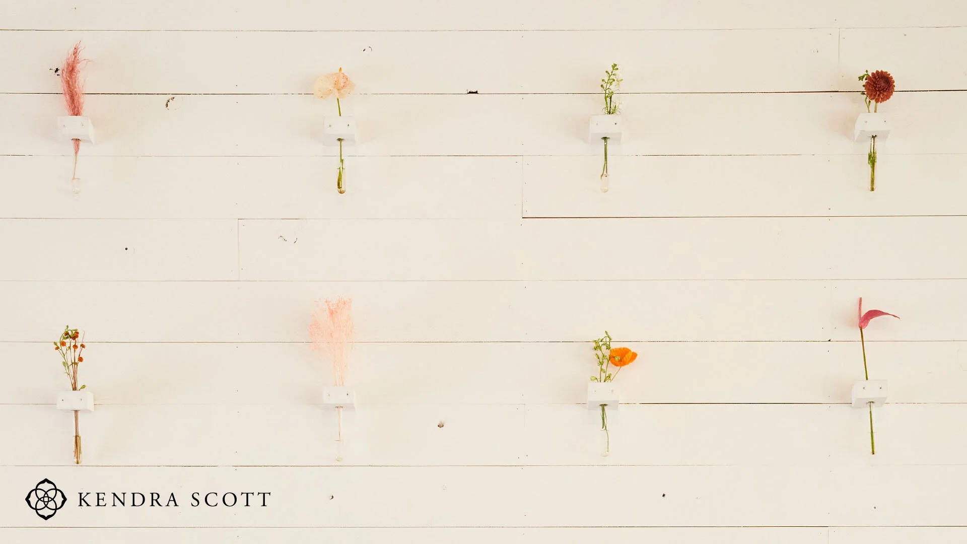 New Spring Digital Downloads
