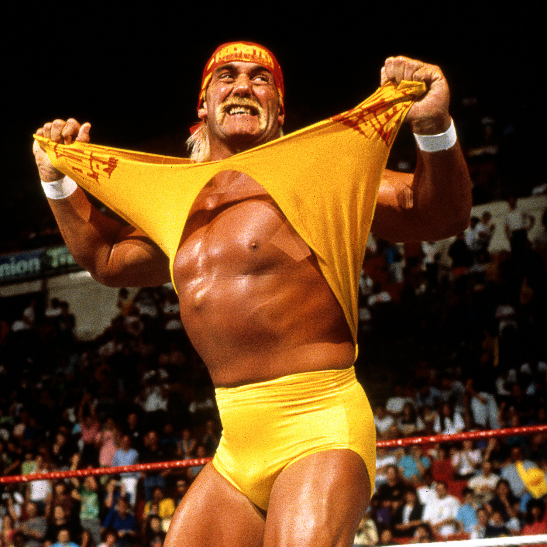 Hulk Hogan: A Life in Picture