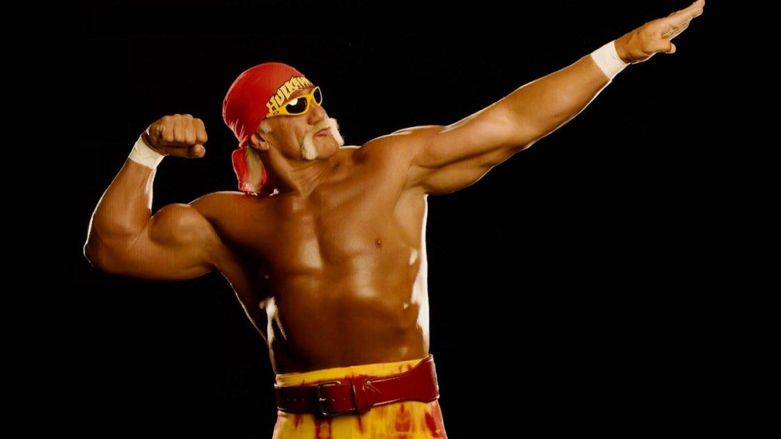 Hulk Hogan Wallpaper