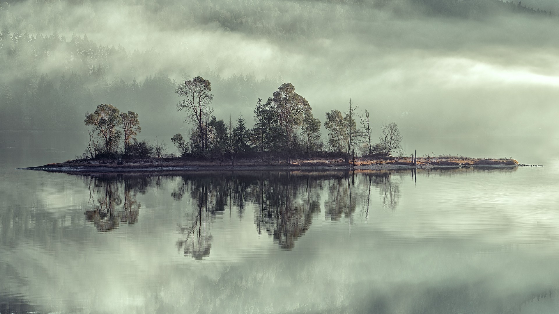 Encyclopedia Alagaësia: Arya Dröttningu