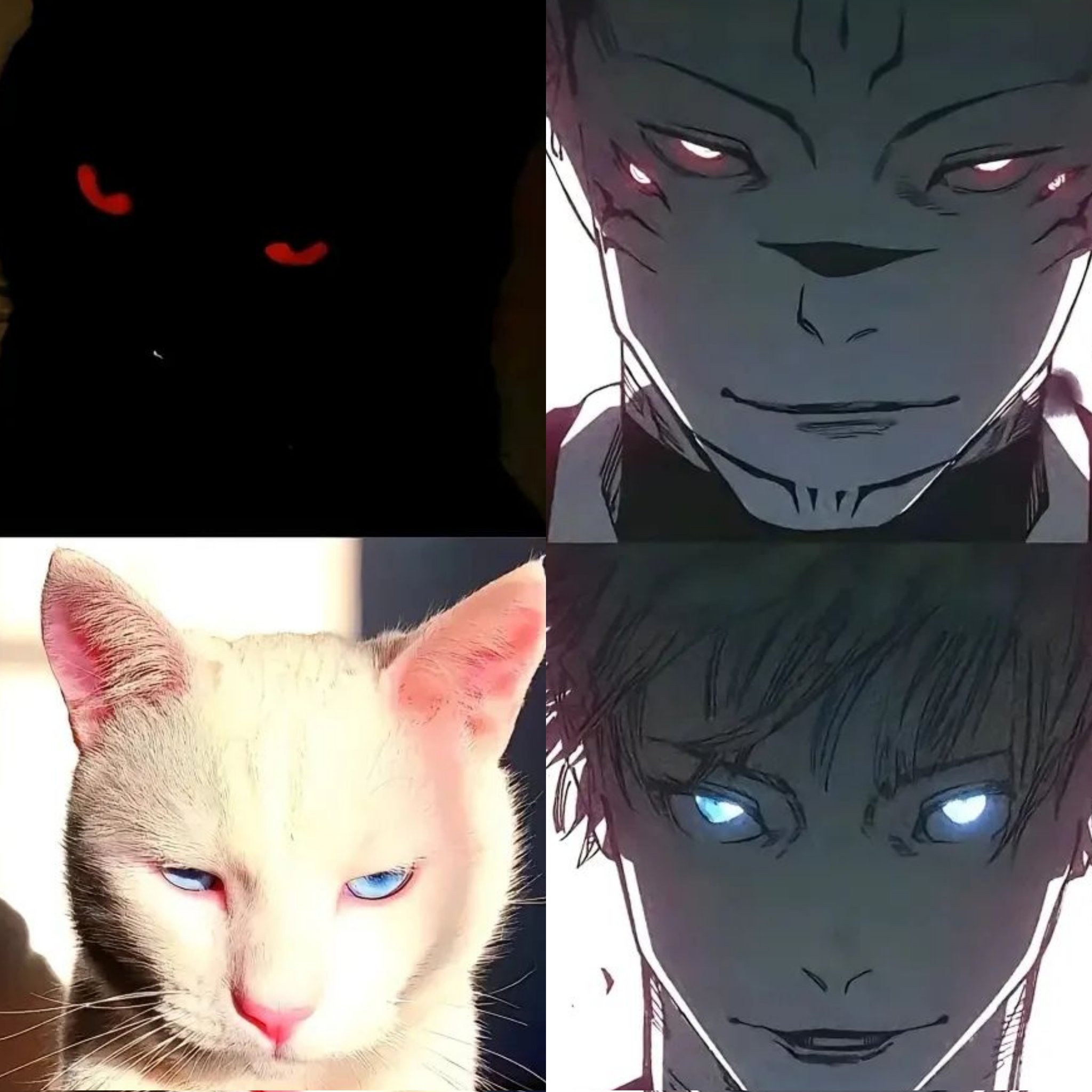 Anime Tweets & SUKUNA