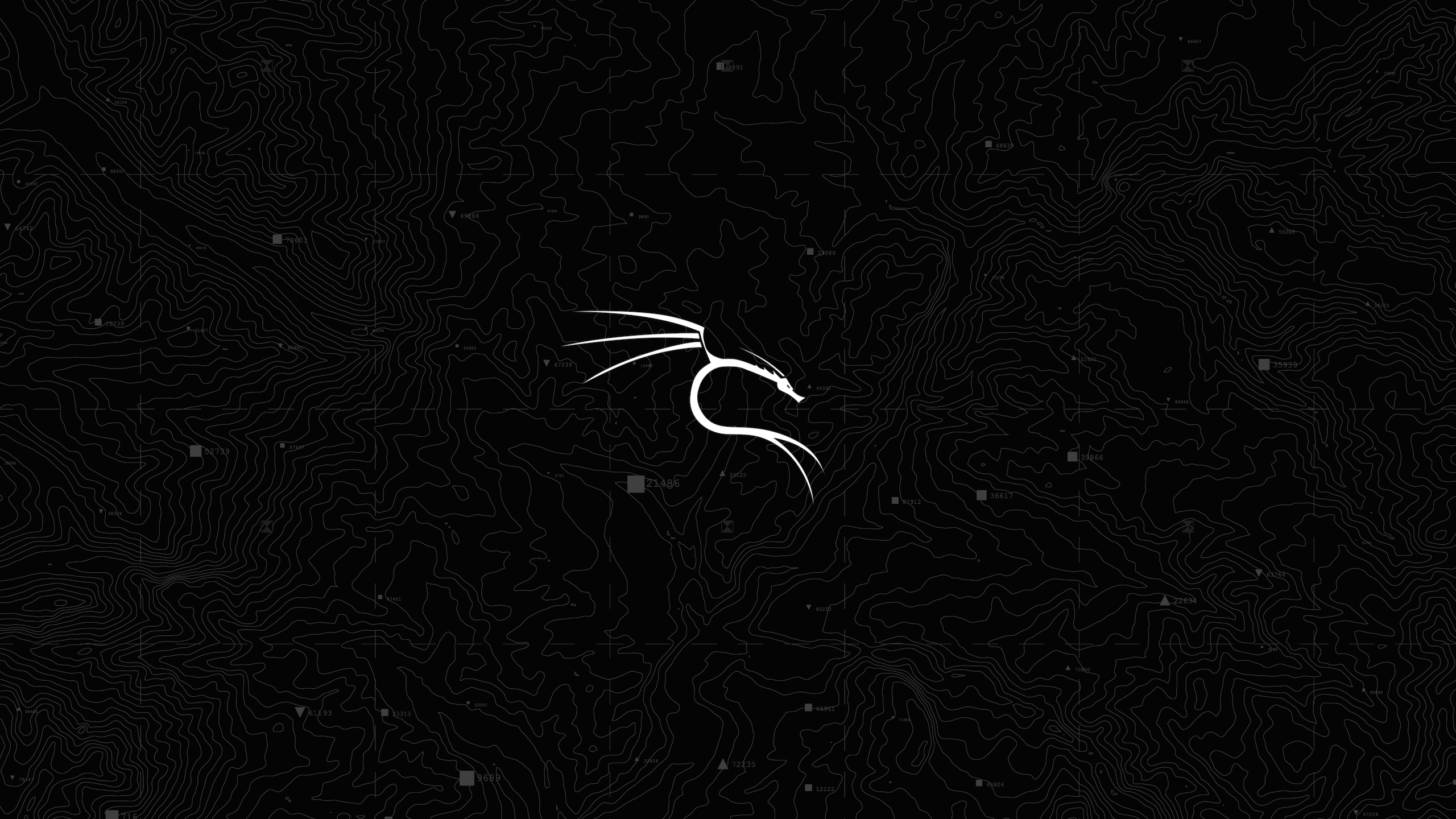 Kali topographic wallpaper inspired by Offsec's contours wallpaper [2560x1440]