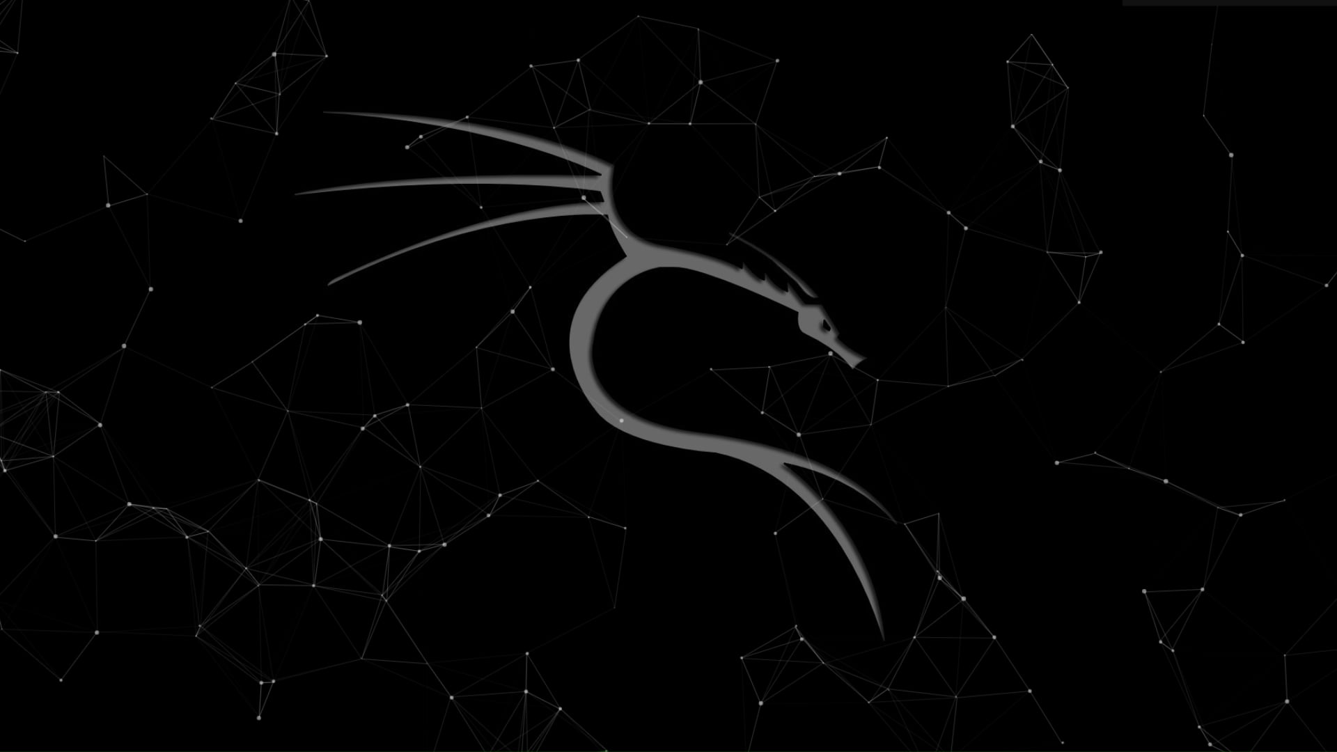 Kali Linux Wallpaper used with Wallpaper Engine