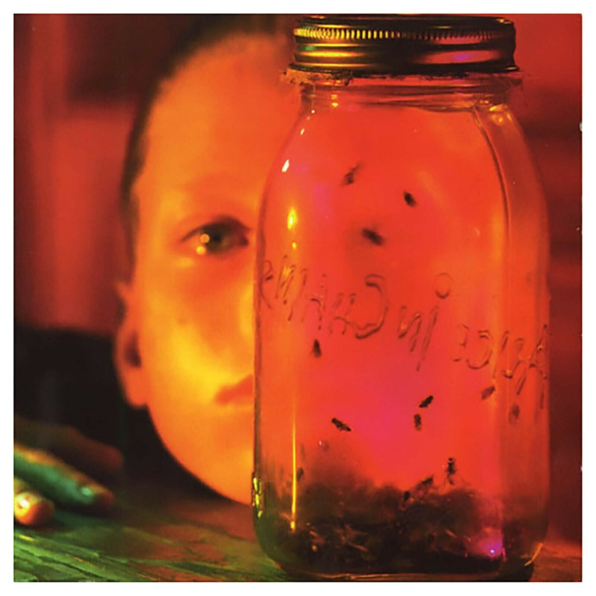 ALICE IN CHAINS Jar of Flies BANNER HUGE 4X4 Ft Fabric Poster Tapestry Flag art