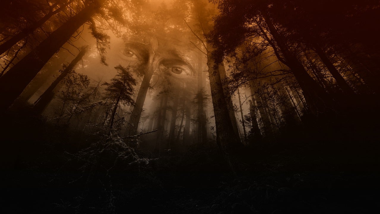 Download Ghost Forest Forest Spirit. Royalty Free Stock Illustration Image
