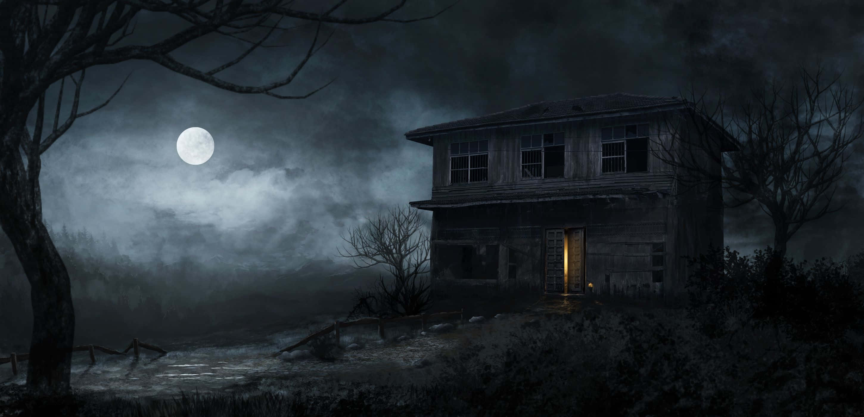 Download A Dark, Haunted Forest at Night Wallpaper