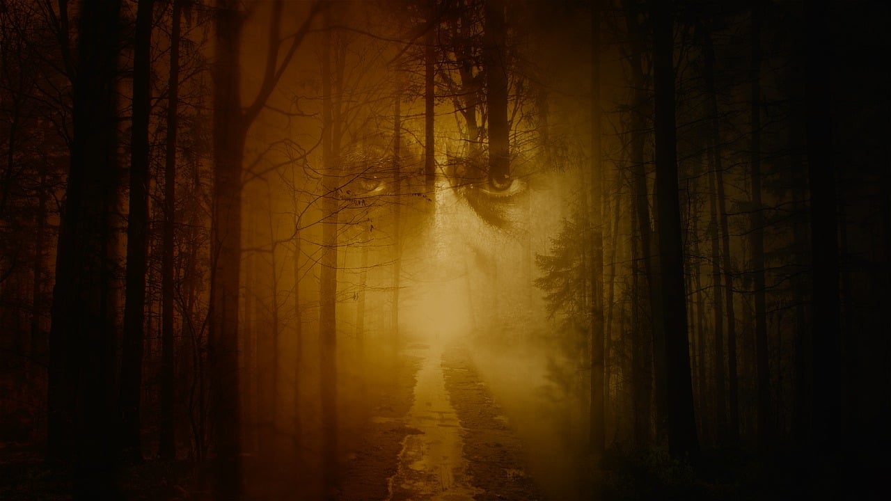 Download Face Ghost Forest. Royalty Free Stock Illustration Image
