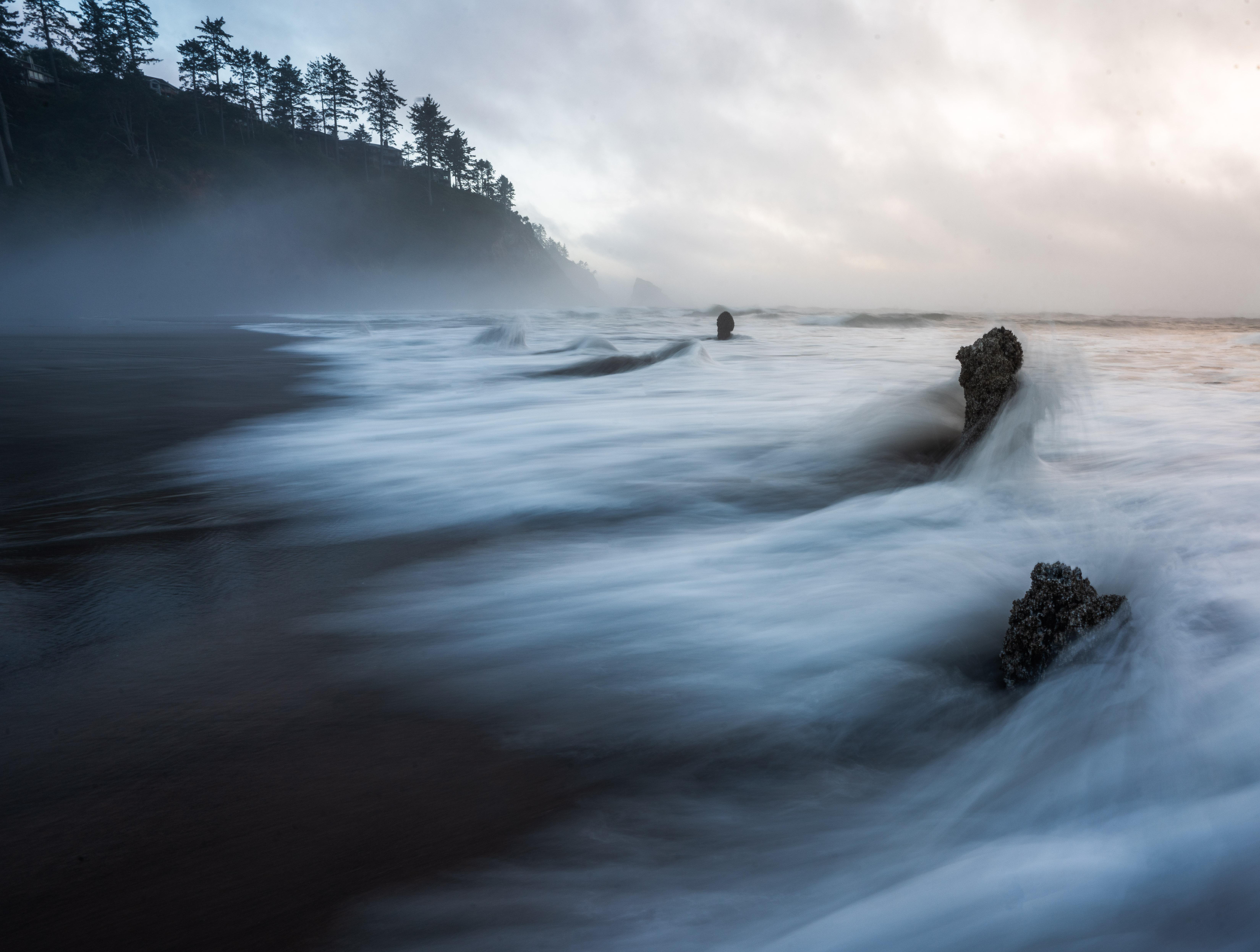 The Ghost Forest of Neskowin