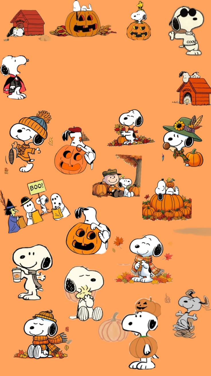 wallpaper. iPhone wallpaper quotes funny, Cute fall wallpaper, Cute cartoon