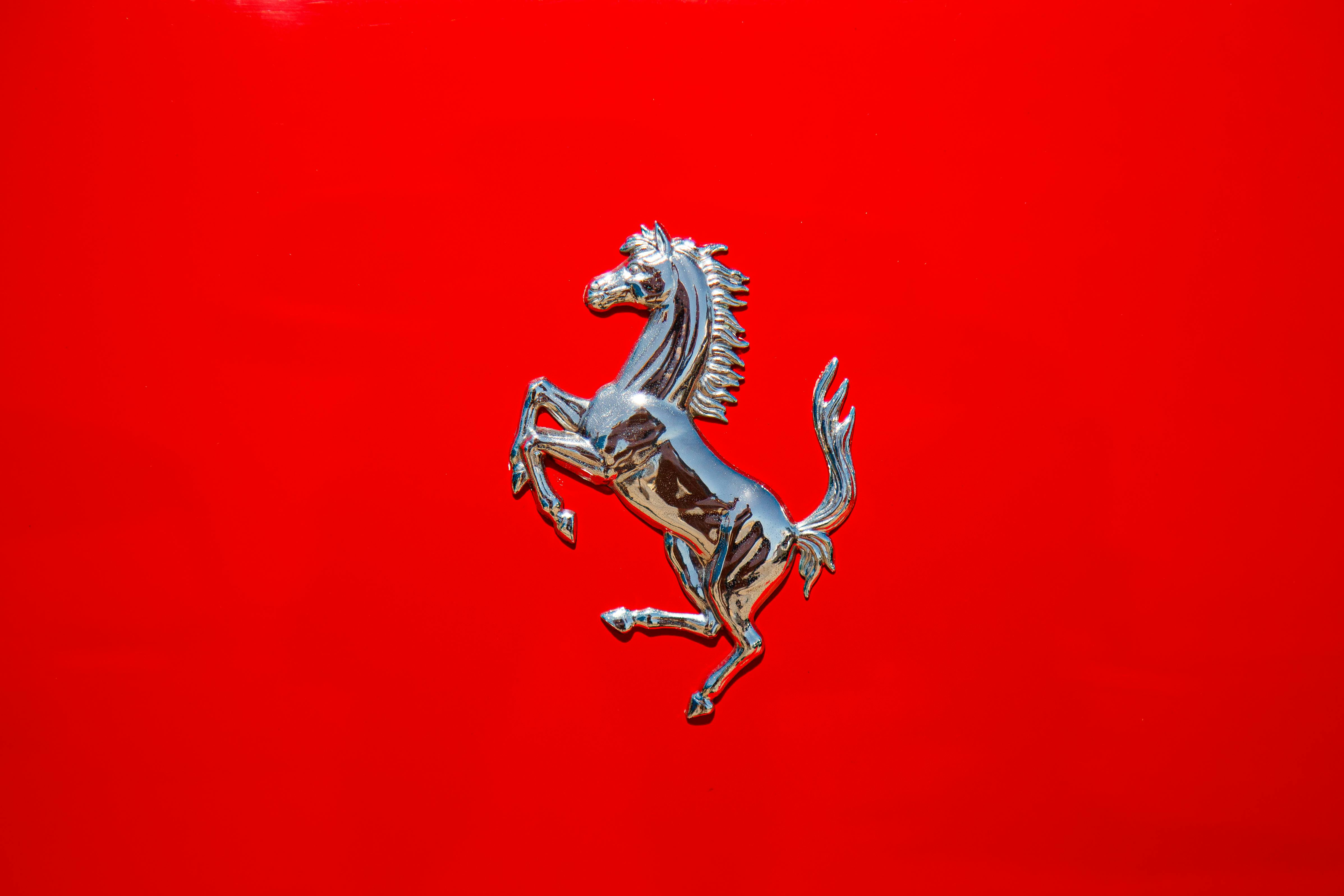 Prancing Horse Photo, Download The BEST Free Prancing Horse & HD Image
