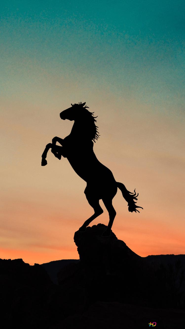 Horse silhouette and sunset red view prancing on cliffs 2K wallpaper download