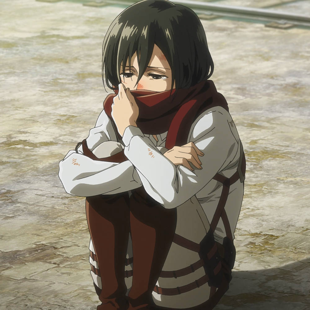 Download Mikasa Ackerman Sad PFP Wallpaper