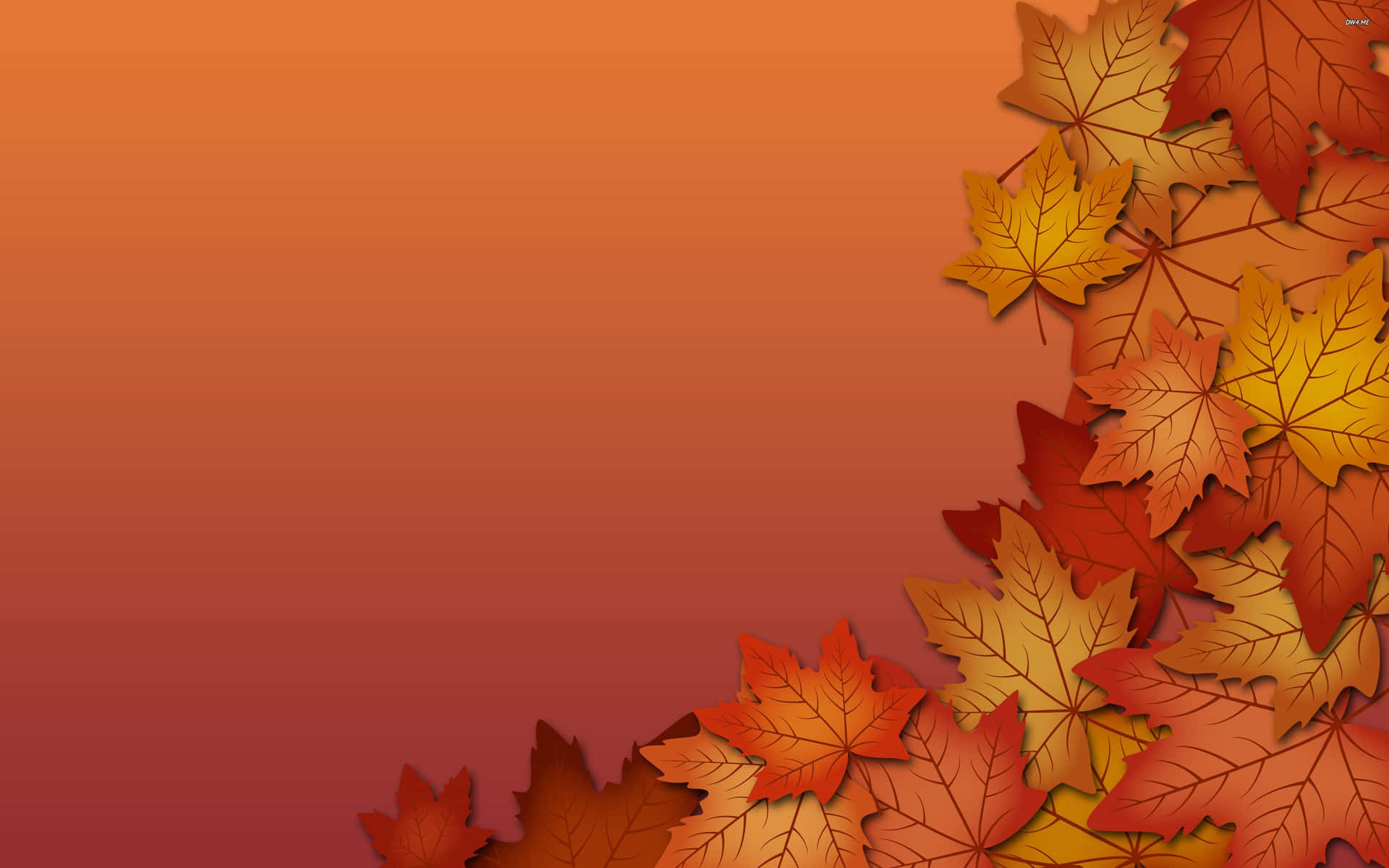 Download Take a moment to marvel at the beauty of autumn Wallpaper