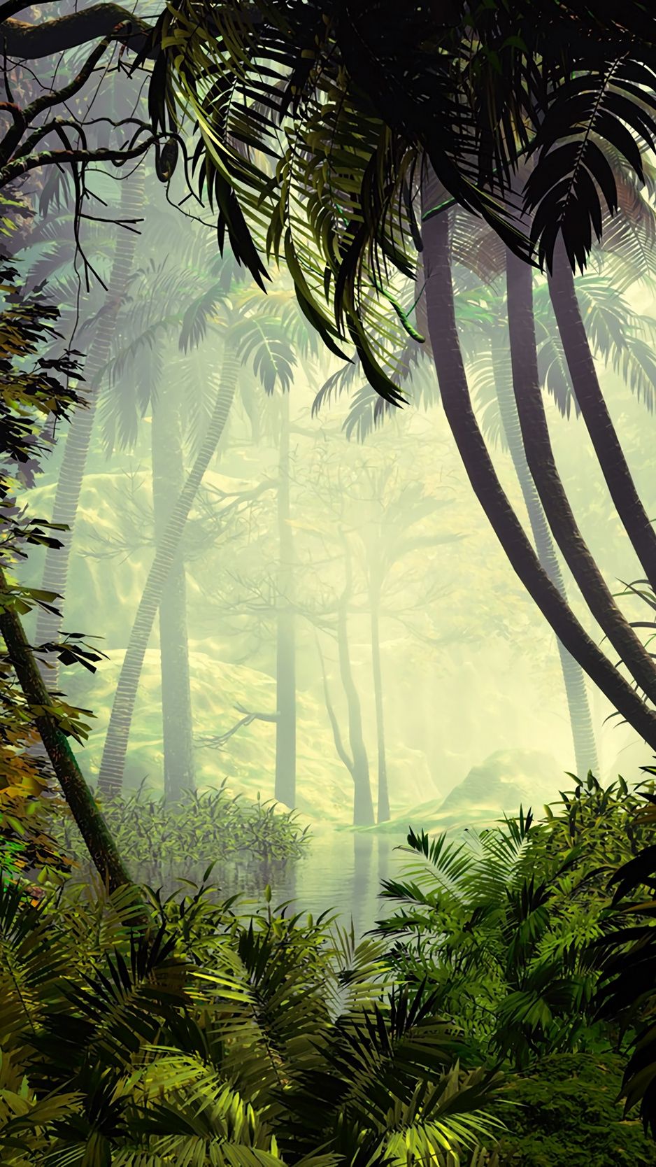 Palm trees, trees, jungle, fog wallpaper