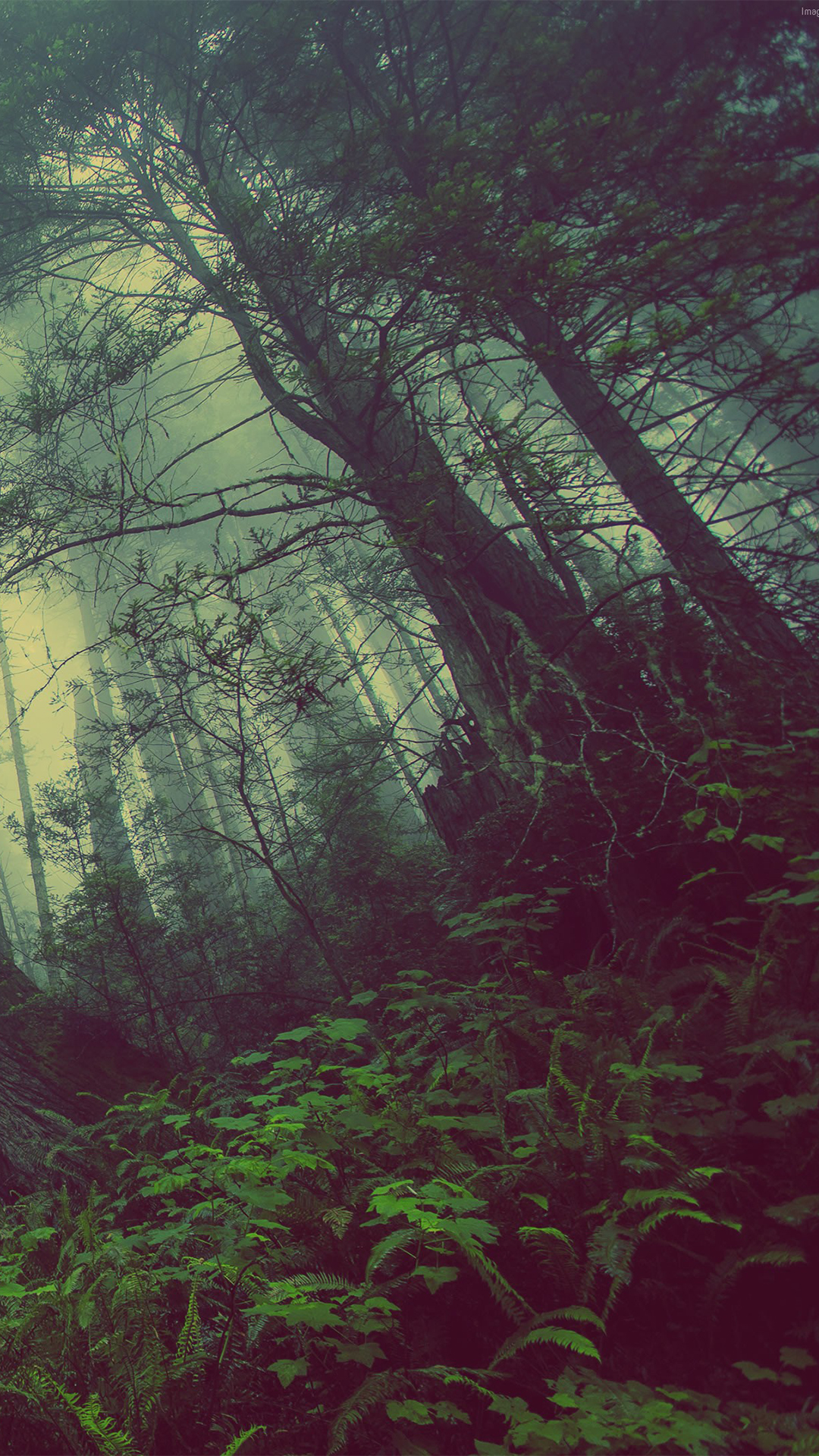 Download Free iPhone Wallpaper, Background and Themes