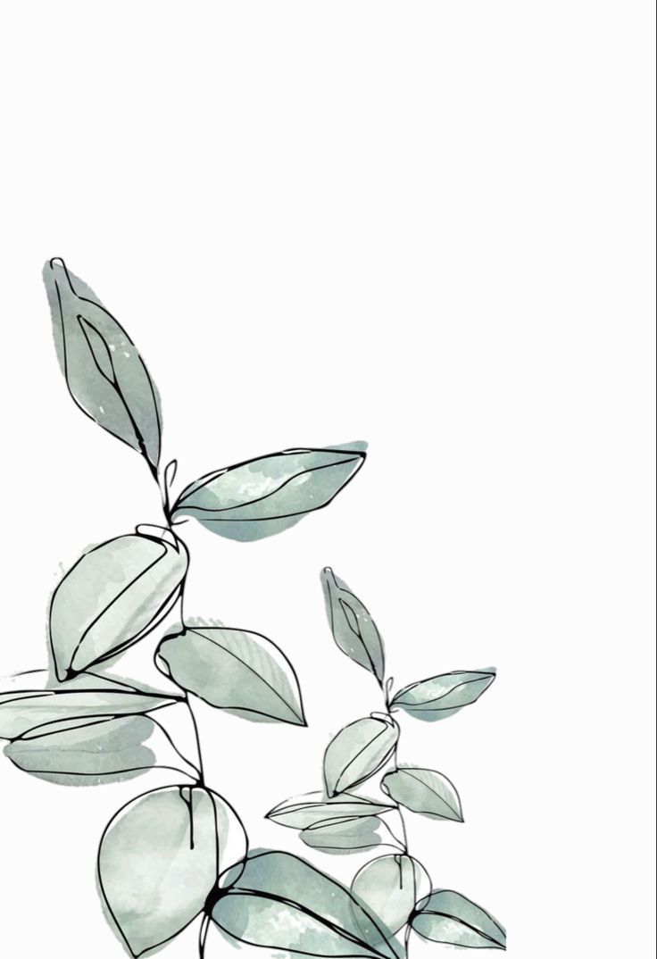 aesthetic plant iphone wallpaper. Cute desktop wallpaper, Simple iphone wallpaper, Cute fall wallpaper