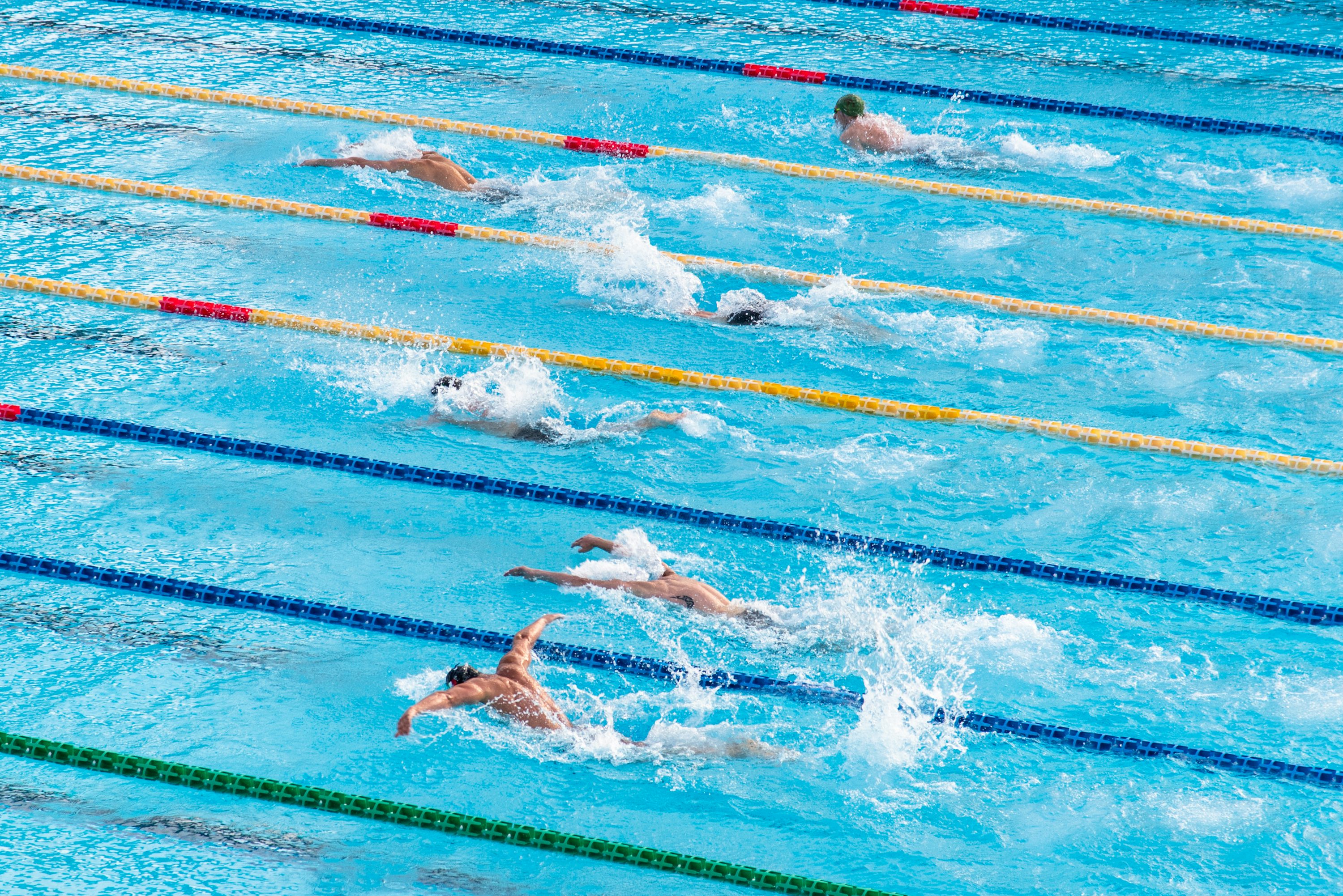 Swimming Competition Picture. Download Free Image