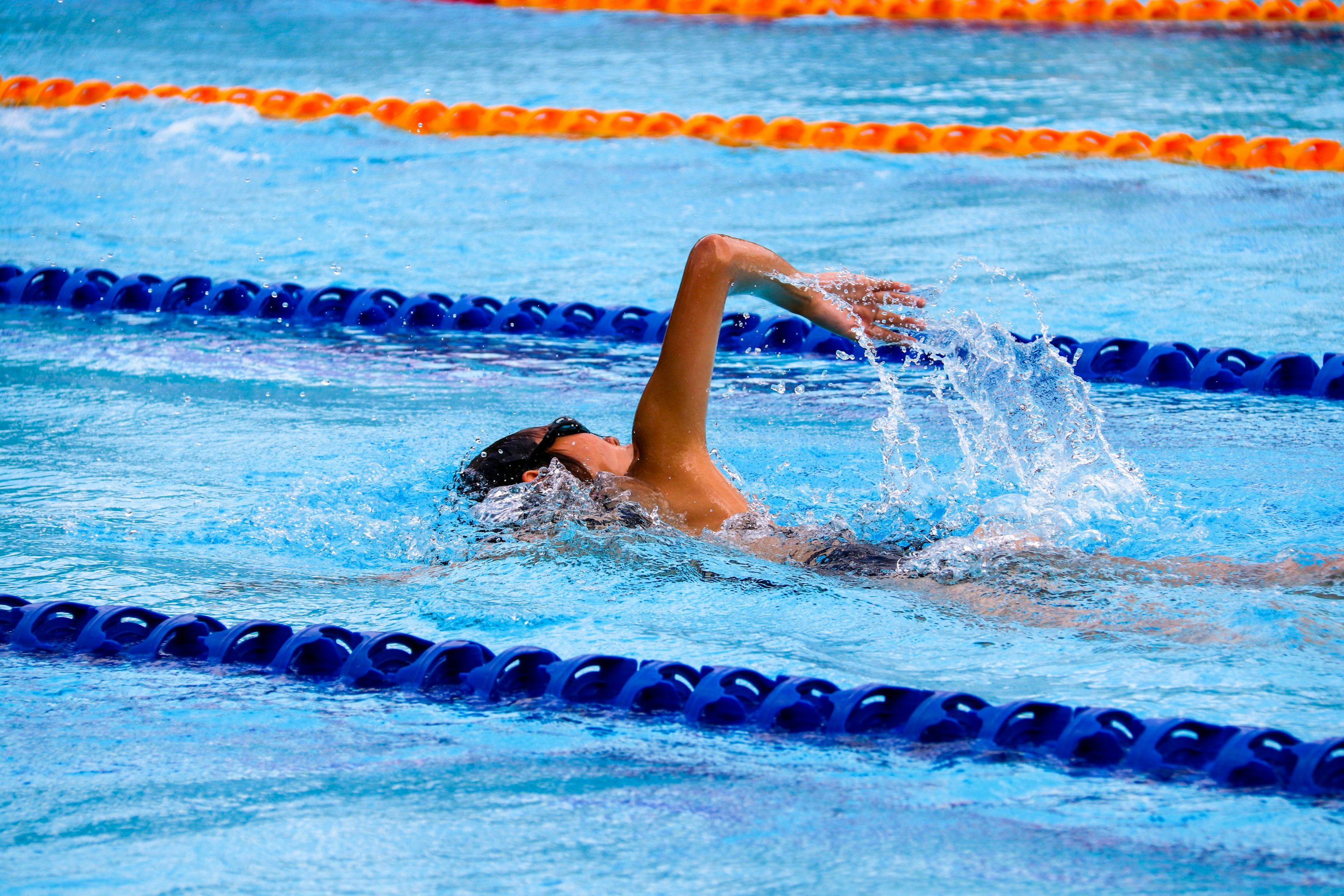 Swimming Competition Picture. Download Free Image