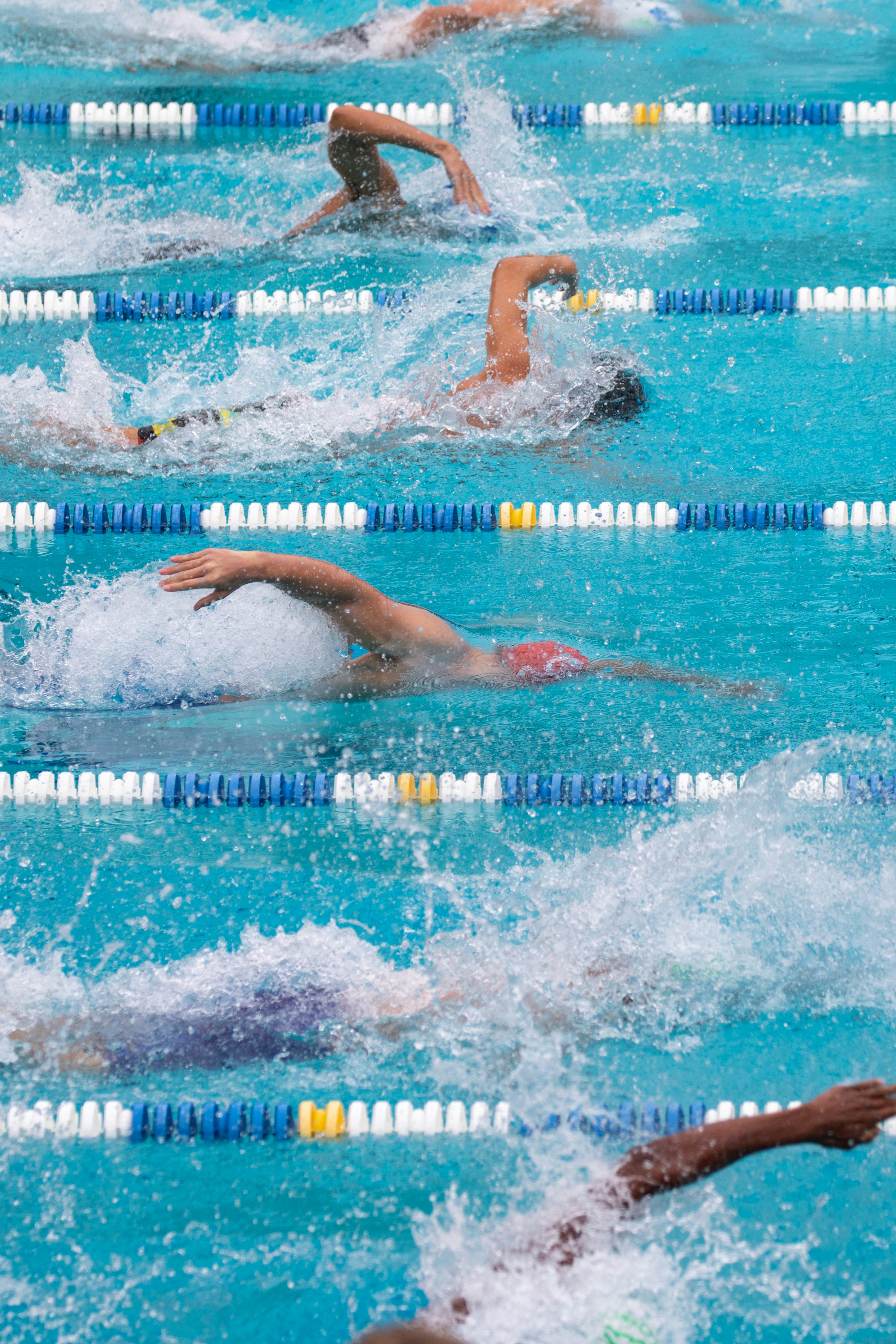 Swimming Competition Picture. Download Free Image