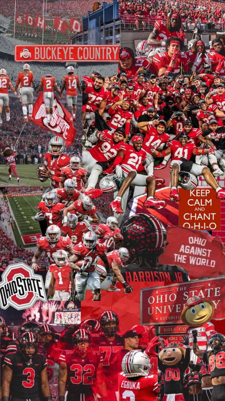 Oh Io. Ohio State Wallpaper, Ohio State Decor