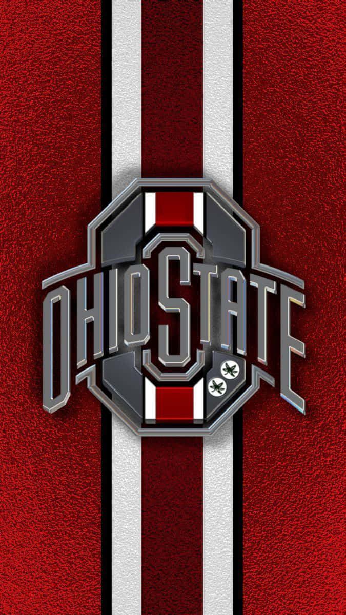 Download Ohio State football fan showing their Buckeye pride. Wallpaper