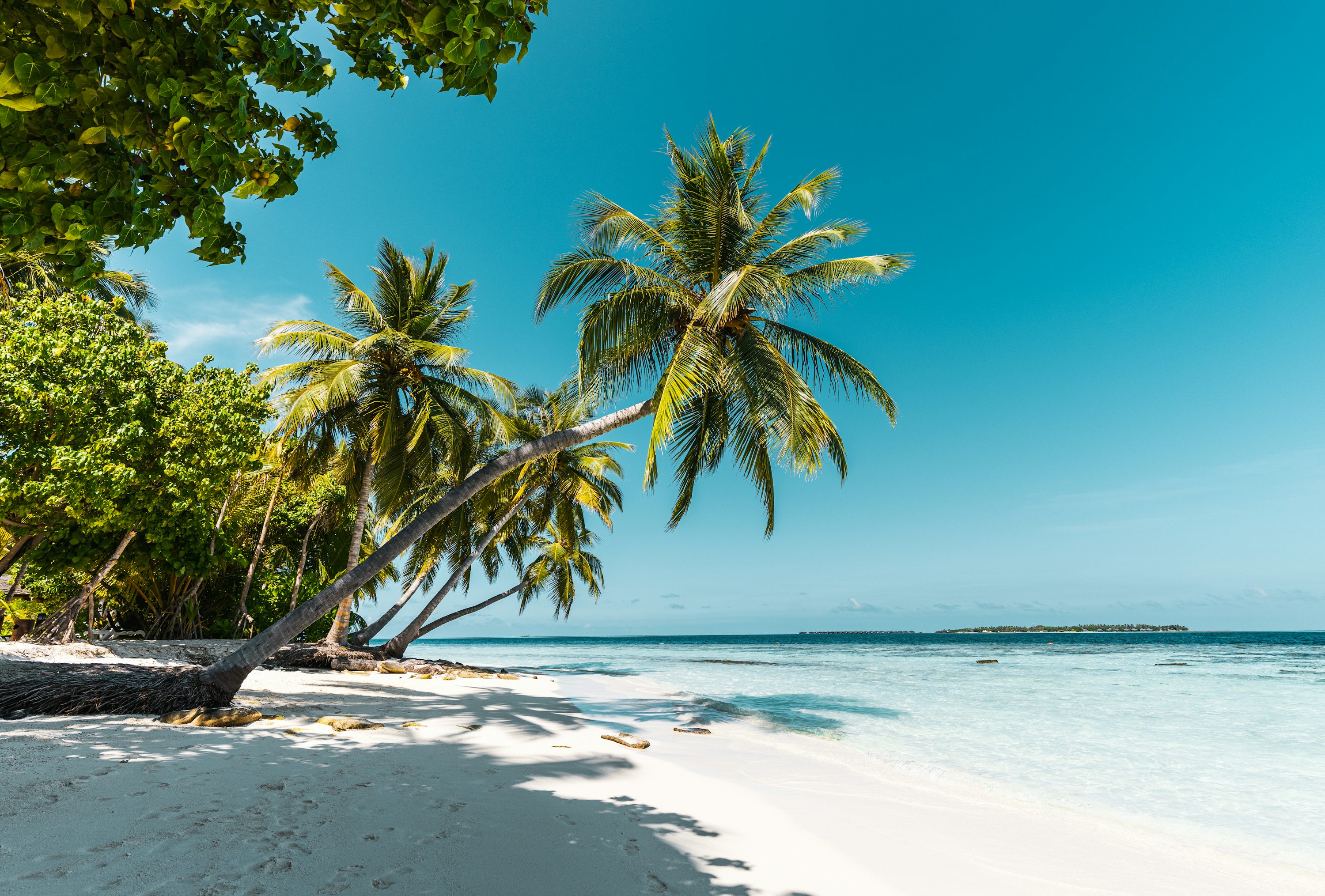 Tropical Island Picture [HD]. Download Free Image