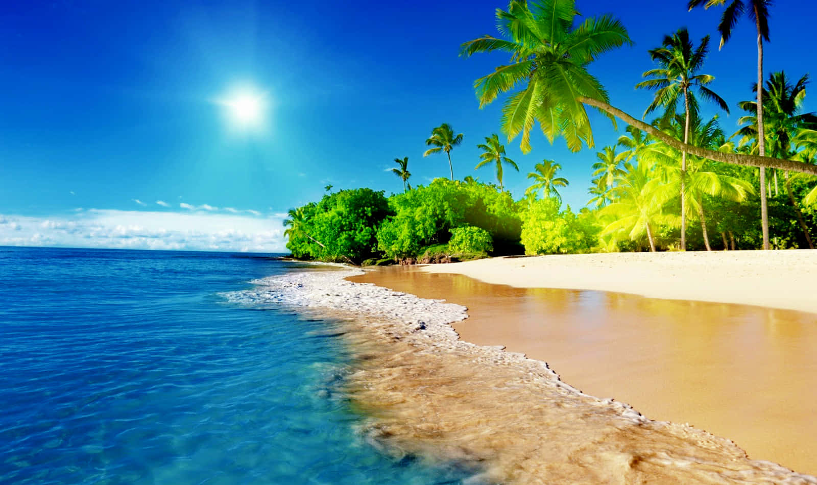 Download Cool Nature Beach Tropical Scene Wallpaper