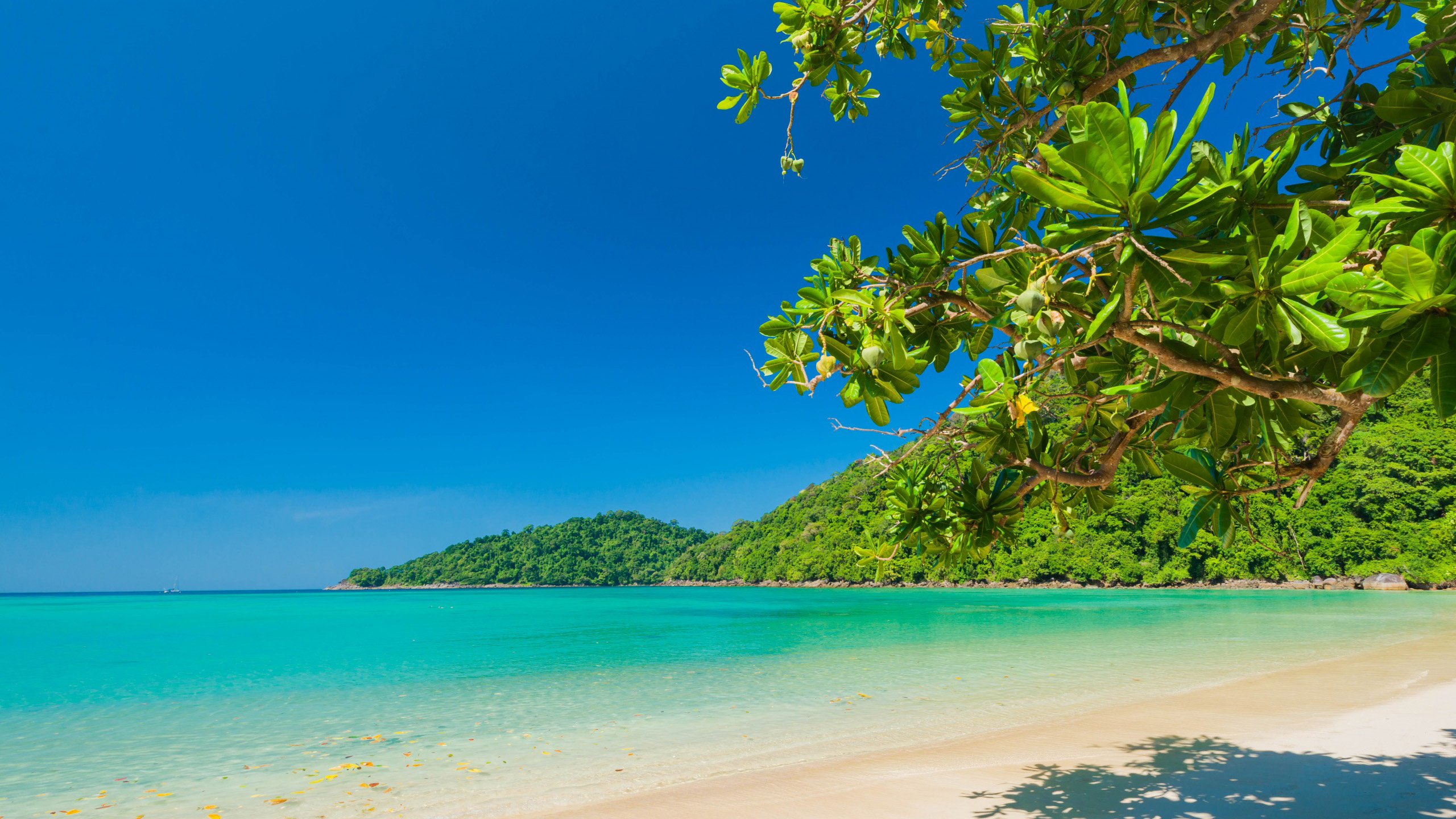 Beach Island Landscape Sea Tropical With Blue Sky HD Nature Wallpaper
