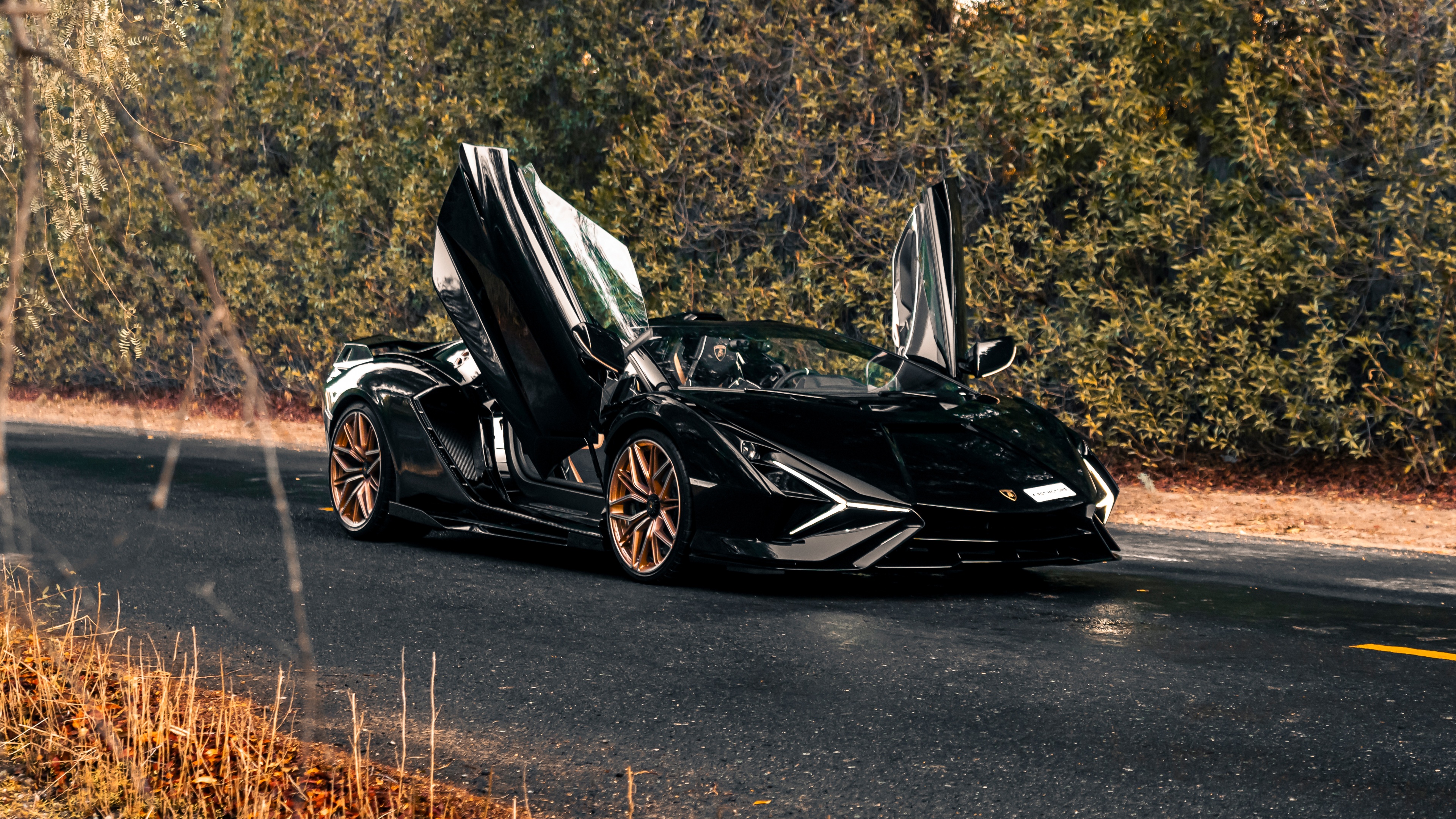 Lamborghini Sián Roadster Wallpaper 4K, Black cars