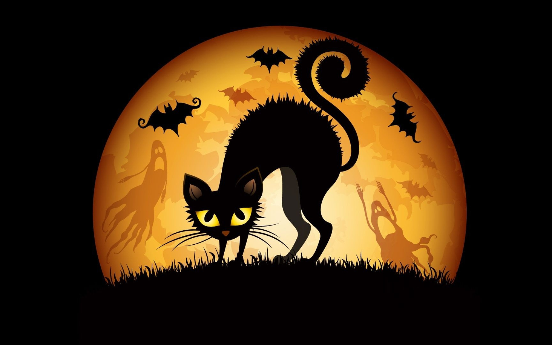 Halloween Cat Wallpaper