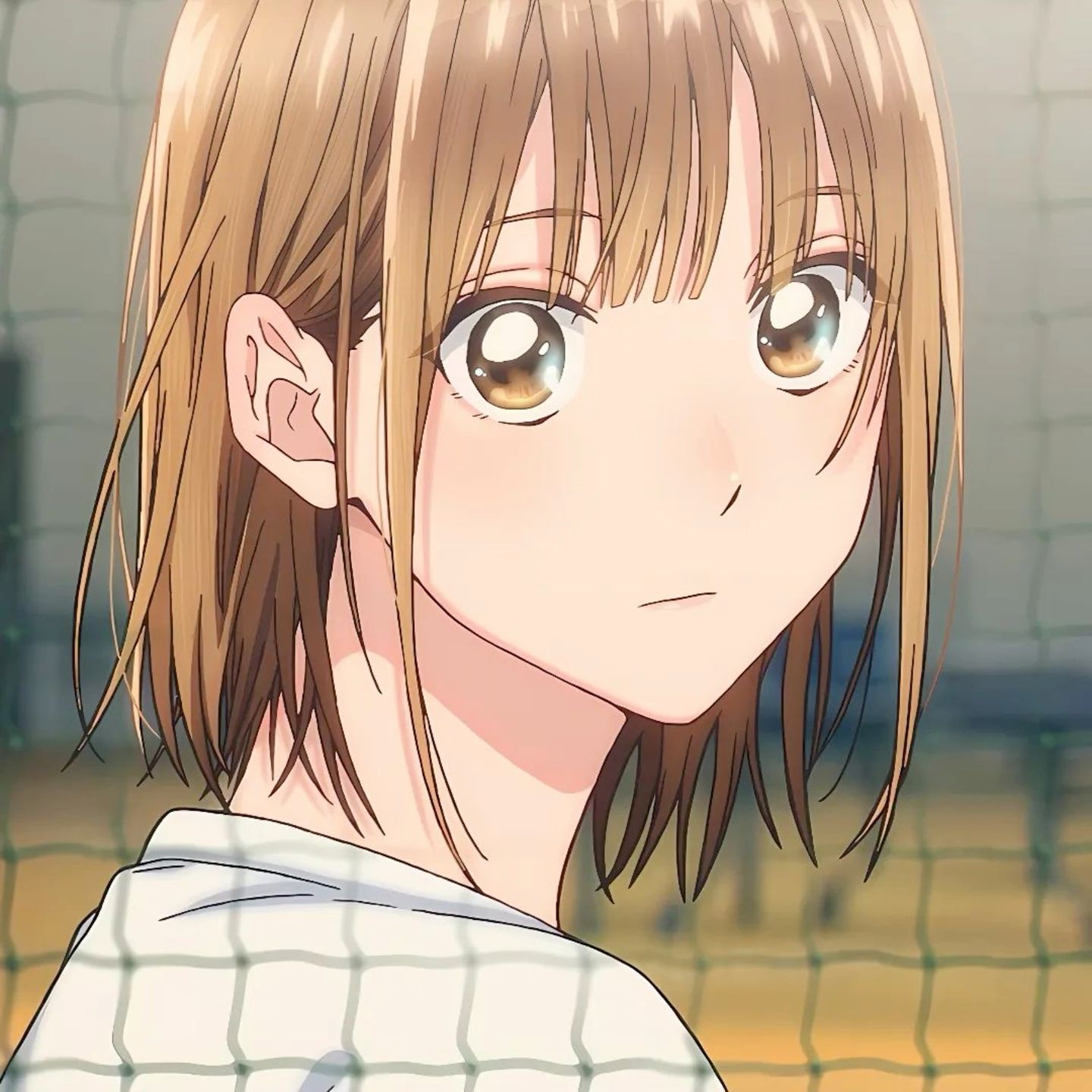 Chinatsu Kano (Blue Box Waifu) ideas to save today. blue box, kano, anime and more