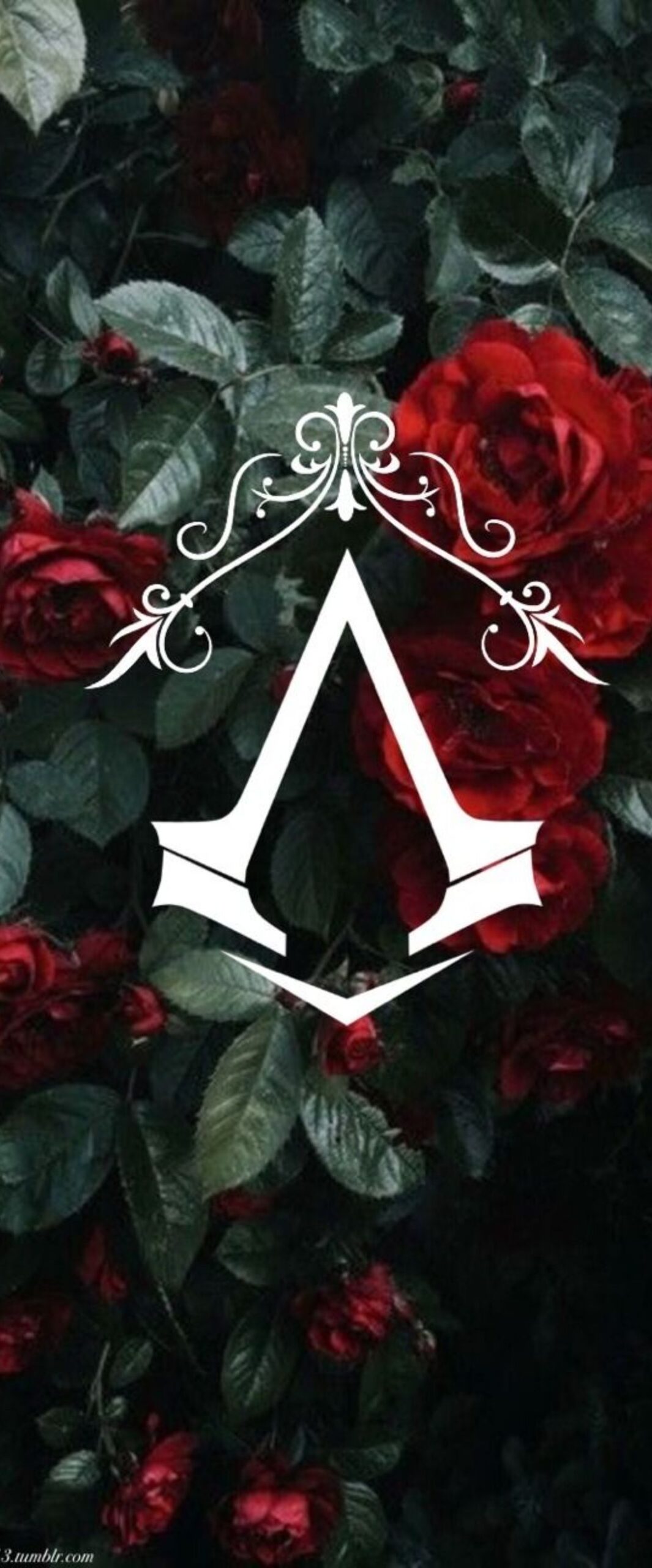 Best Assassins Creed iPhone Wallpaper [ 4k & HD Quality ]
