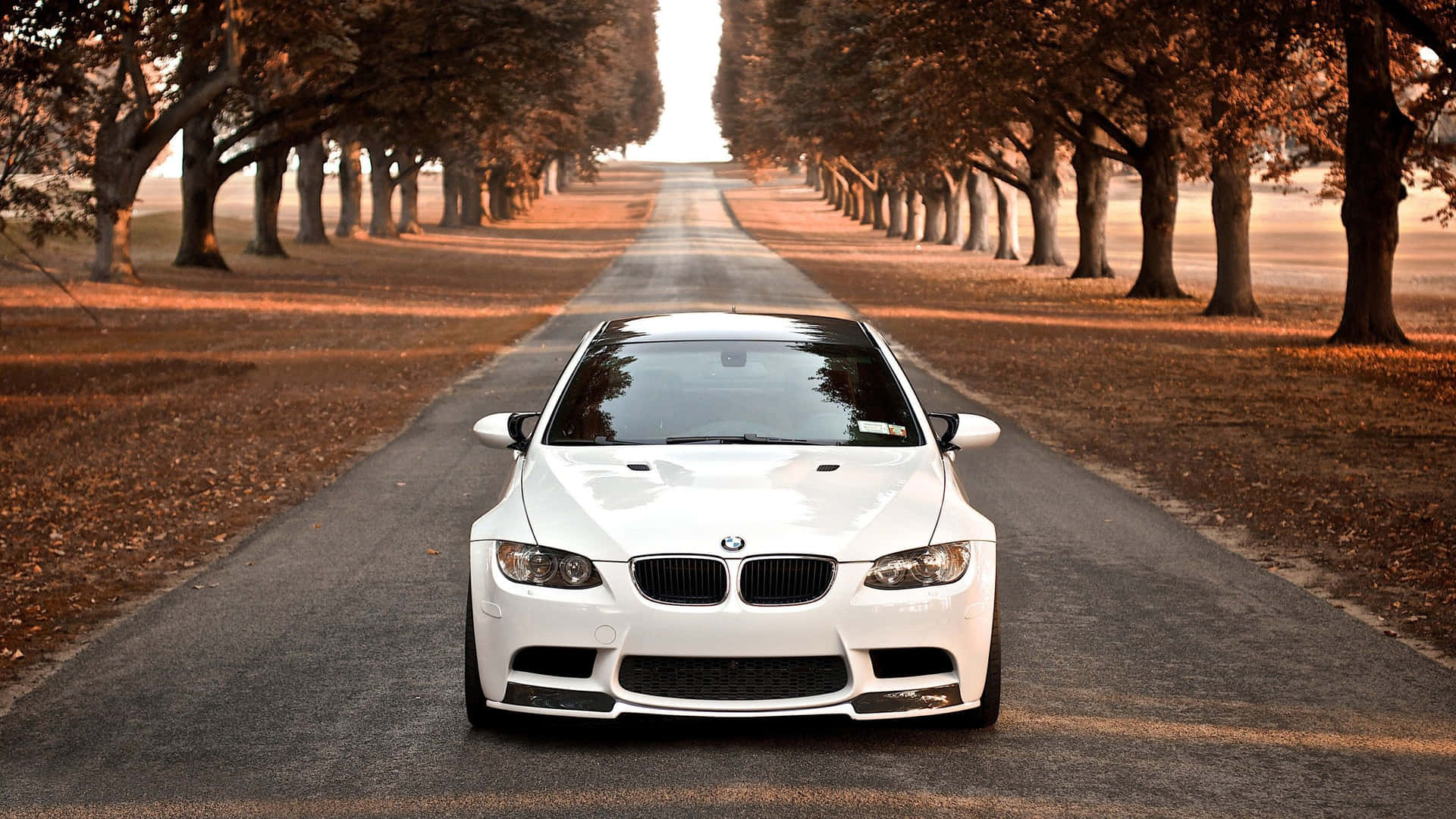 Download White BMW Car On The Road Wallpaper