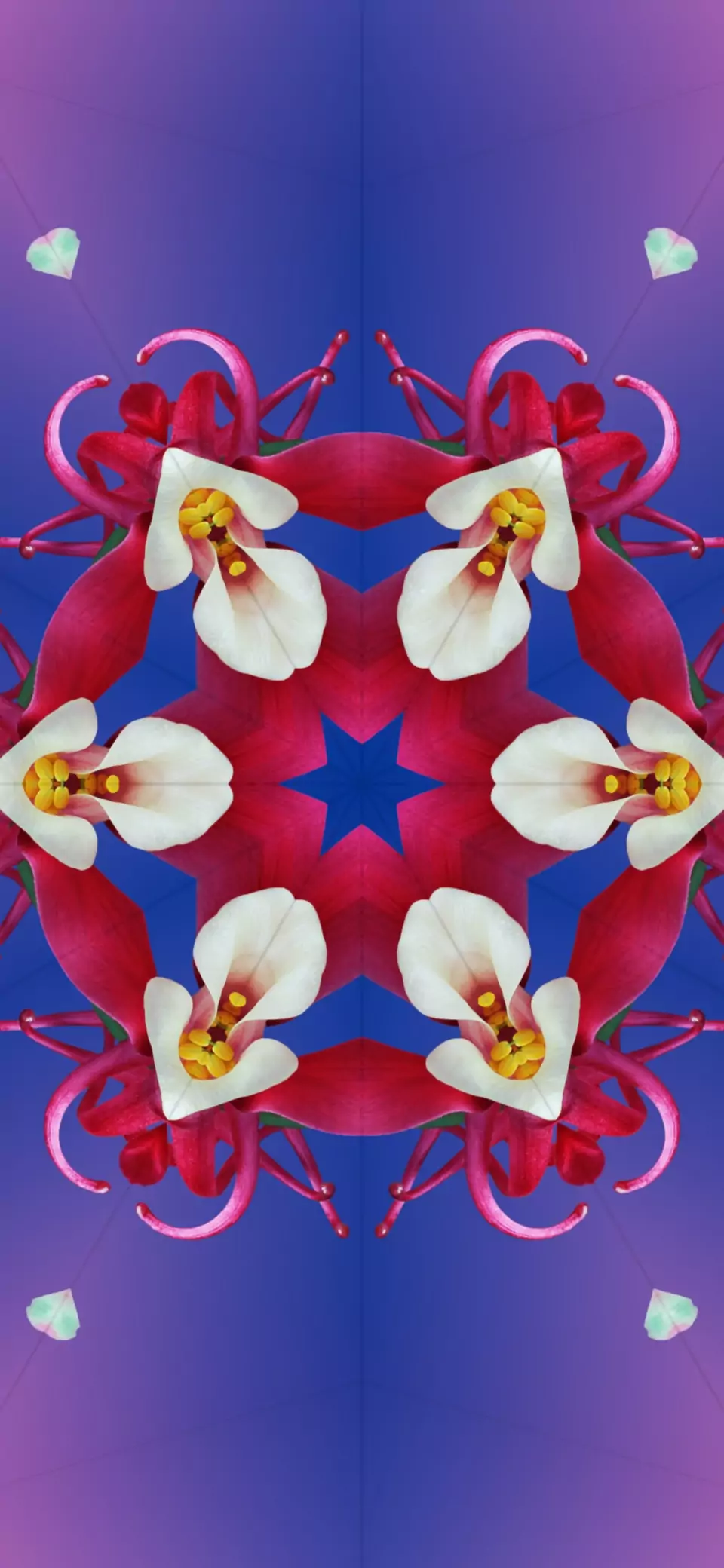 Download IOS 18.6.2 17.7 Wallpaper For IPhone In 4K