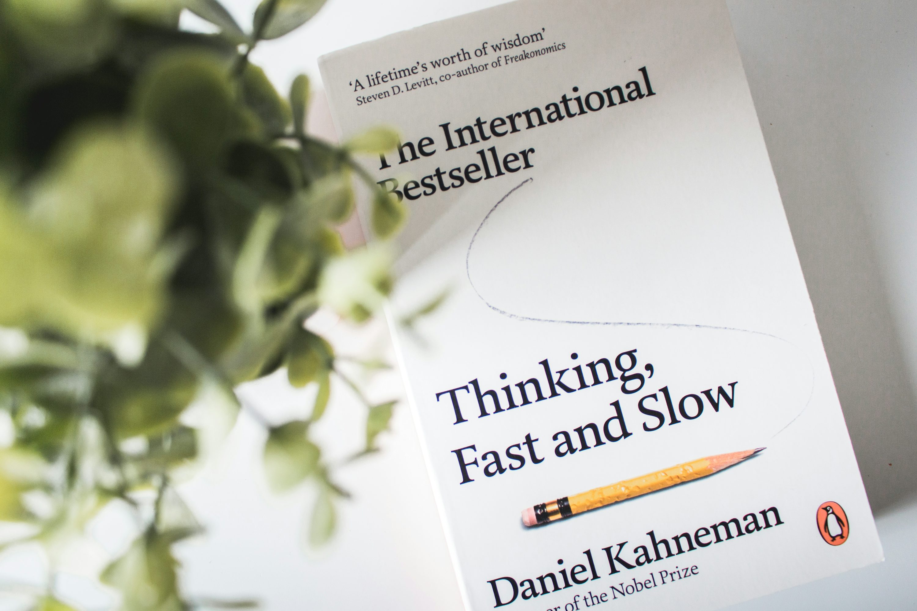 Thinking Fast and Slow book by Daniel Kahneman photo
