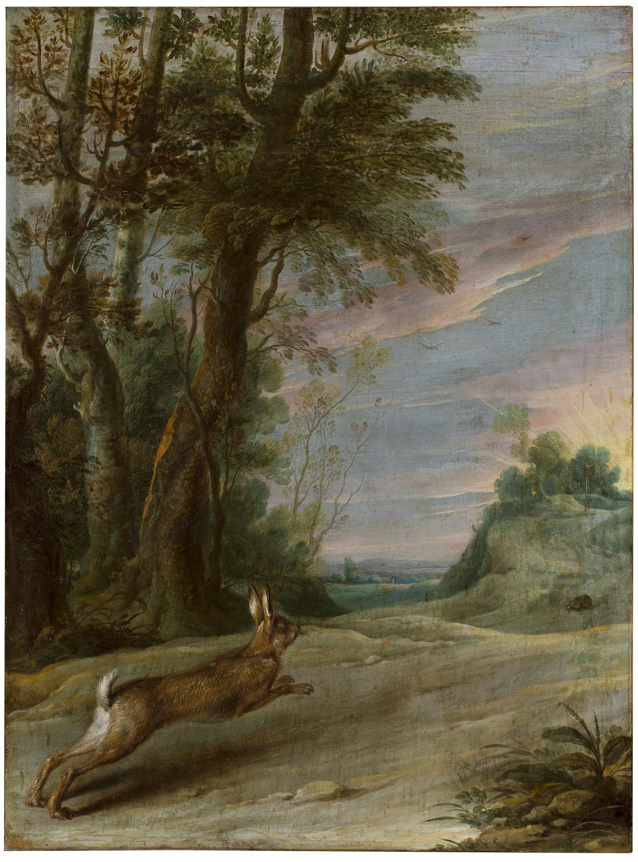 Frans Snyders of the hare and the