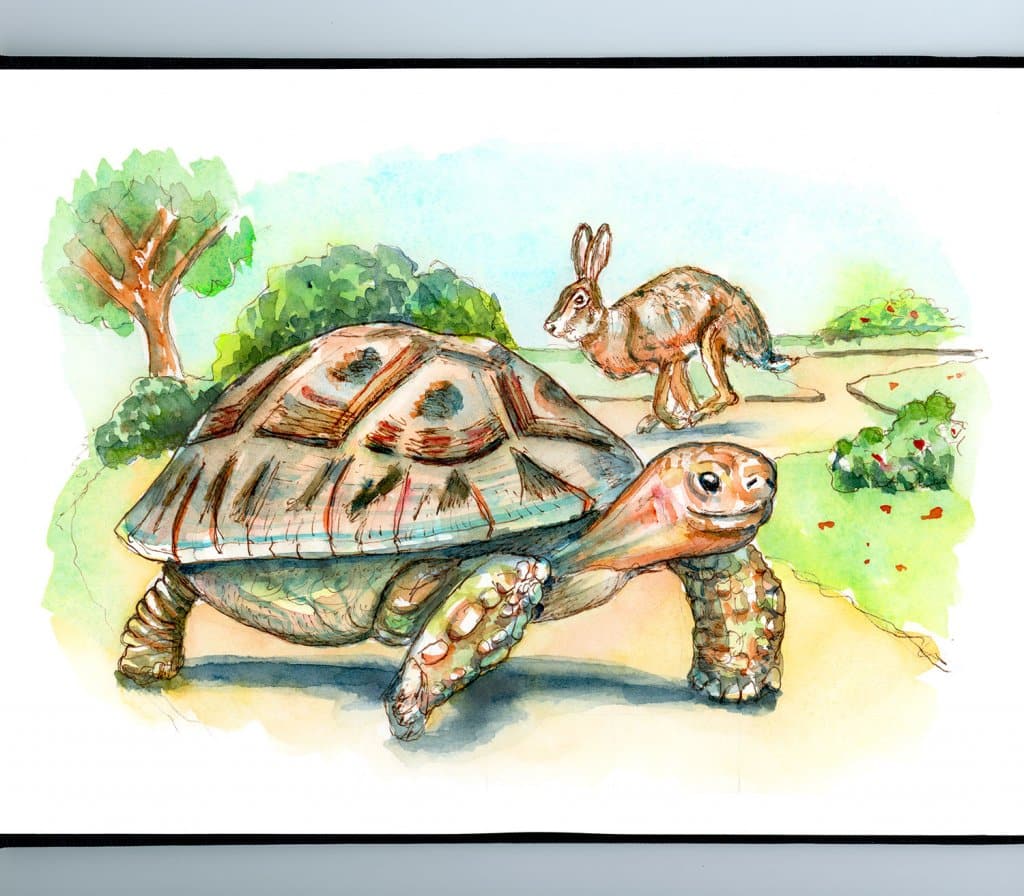 The Tortoise And The Hare®