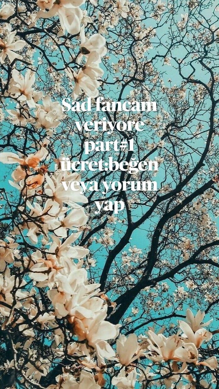 Sad fancam veriyorum pt
