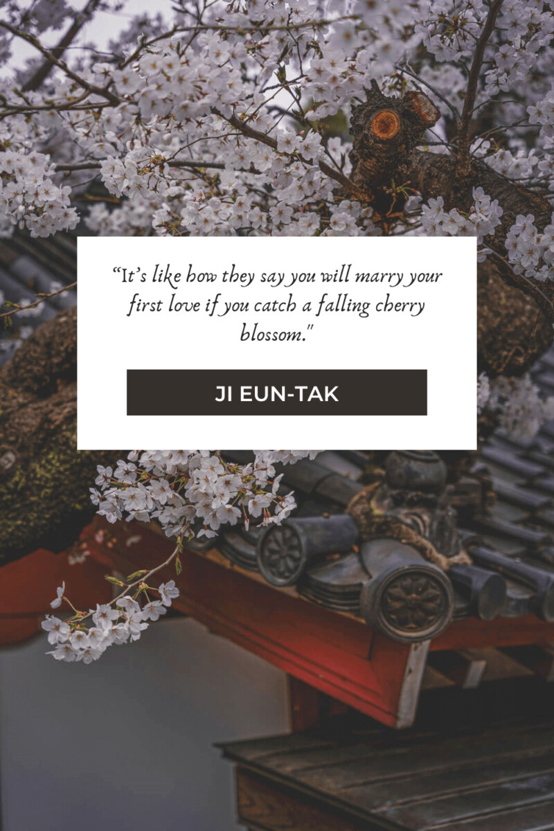 Beautiful Cherry Blossom Quotes About Life, Love, And Renewal To Eden