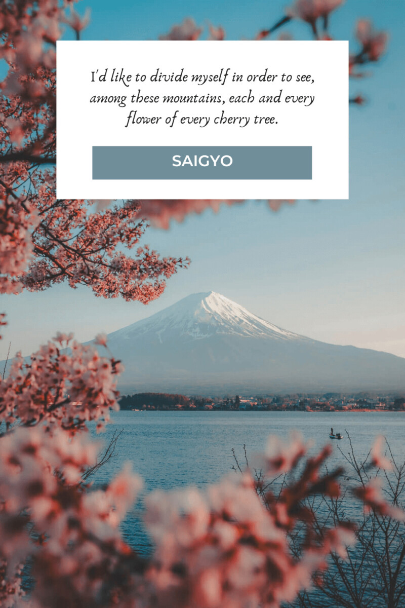 Beautiful Cherry Blossom Quotes About Life, Love, And Renewal To Eden