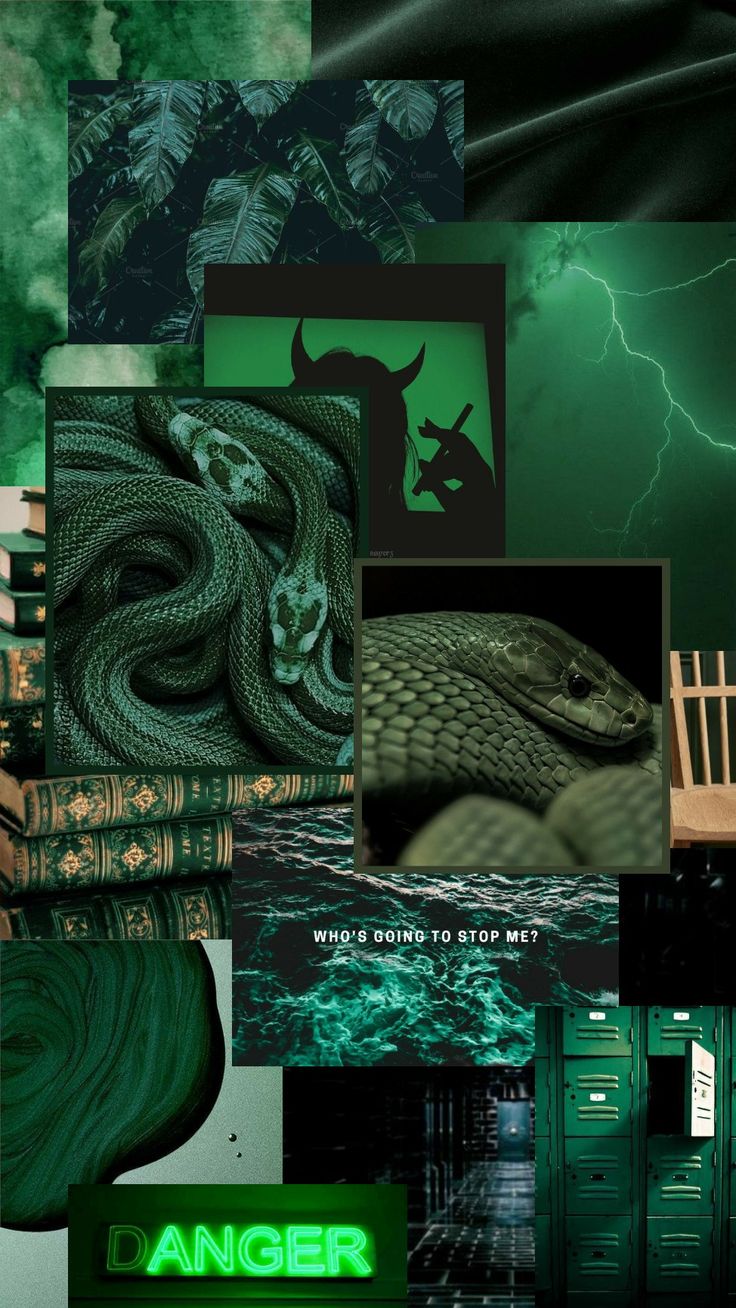 Slytherin Dark Green Aesthetic Wallpaper