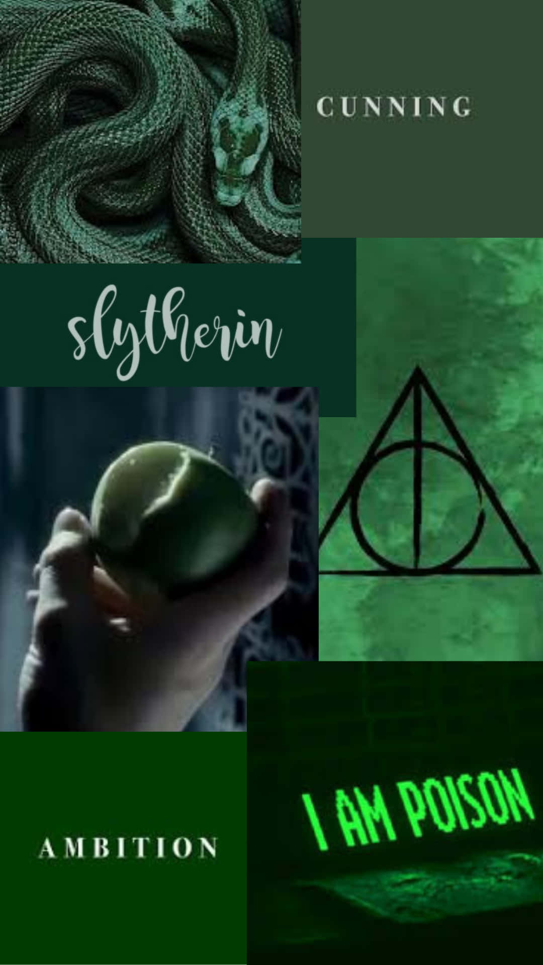 Download Cunning Slytherin Green Aesthetic Wallpaper