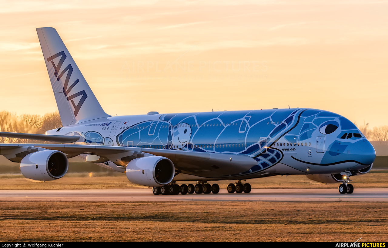 Photo of ANA Nippon Airways Airbus A380 (JA381A) by Wolfgang Küchler (Hamburg, Germany)