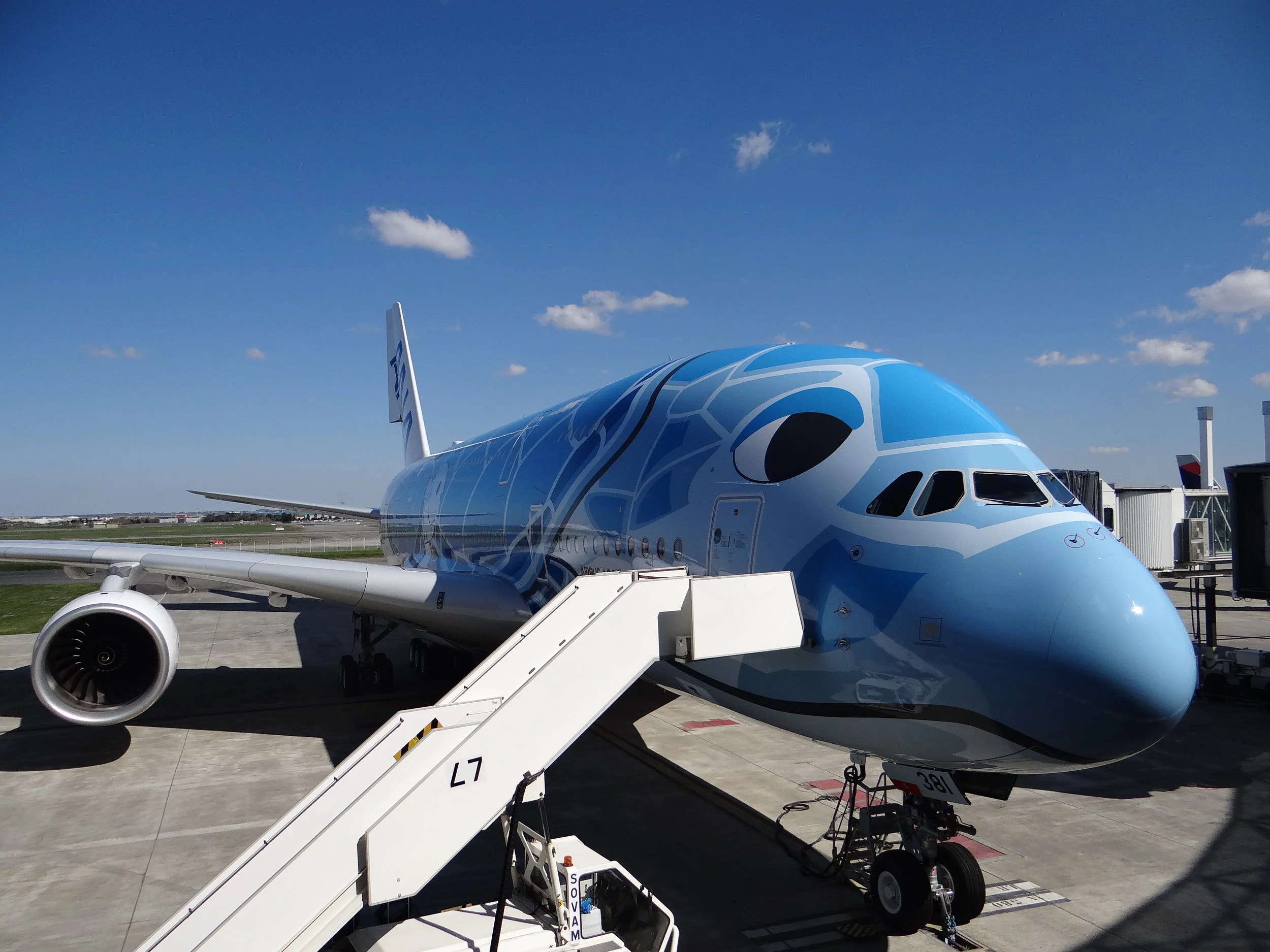 Welcoming Japan's first A380: ANA's Flying Honu