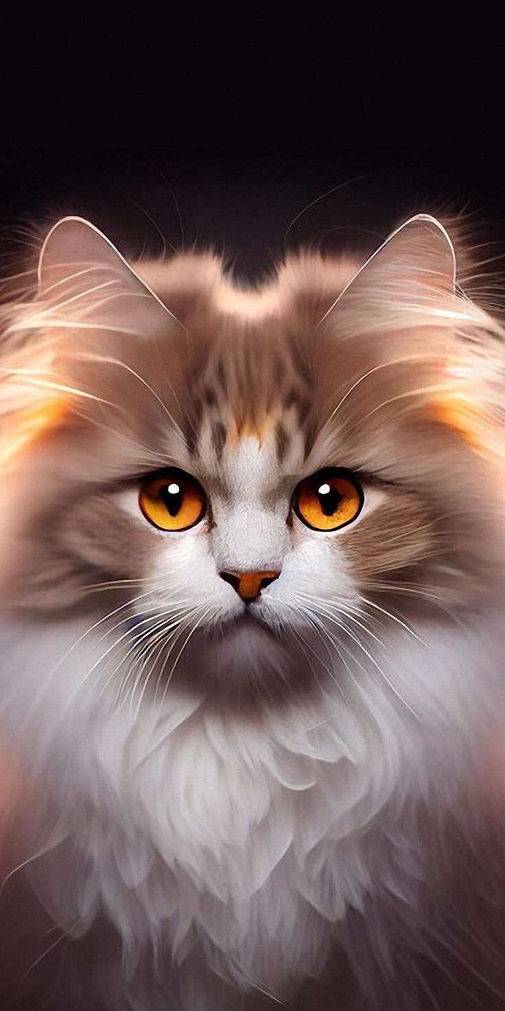 Cute Cats Phone Wallpaper