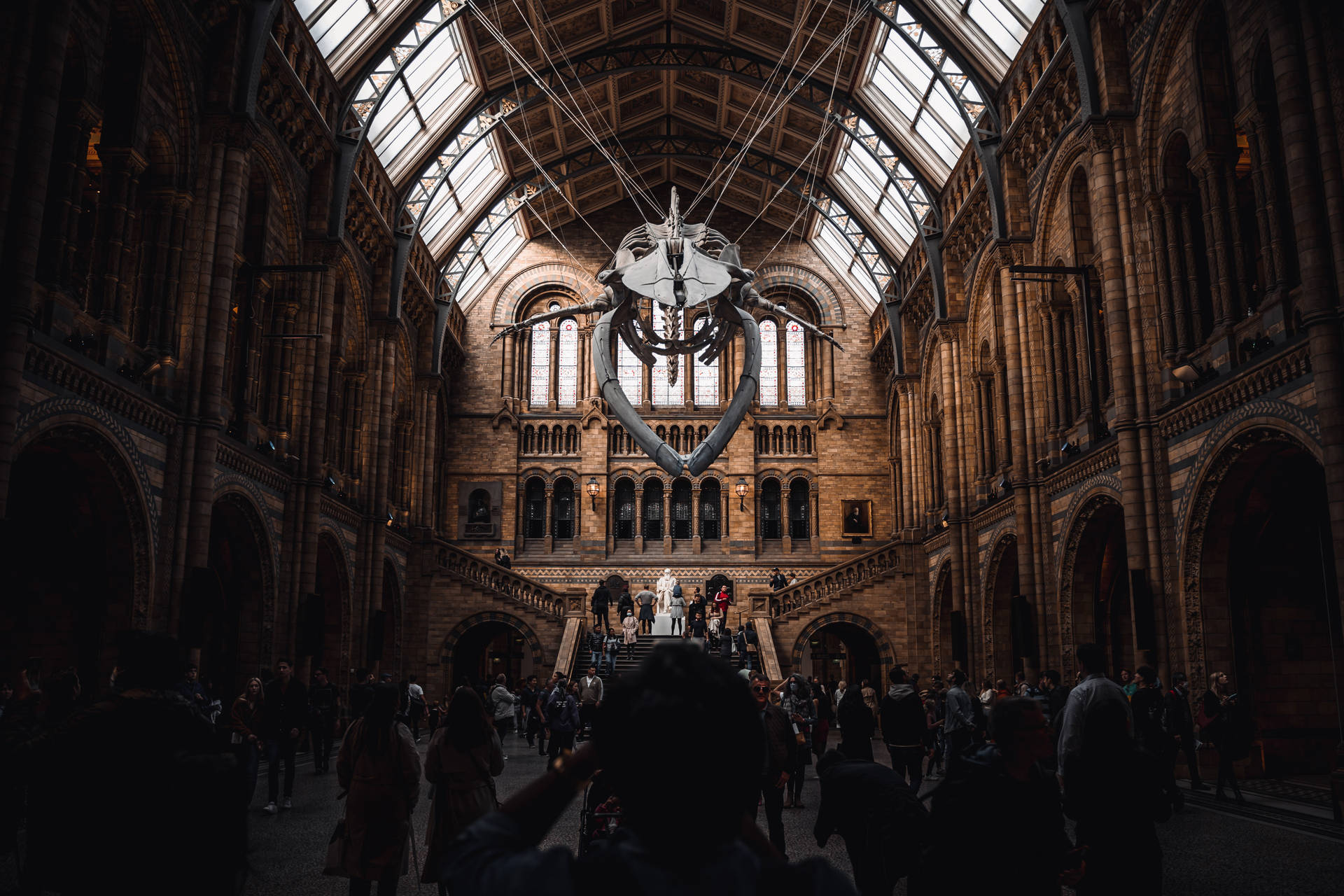 Download National History Museum Dark Academia Desktop Wallpaper