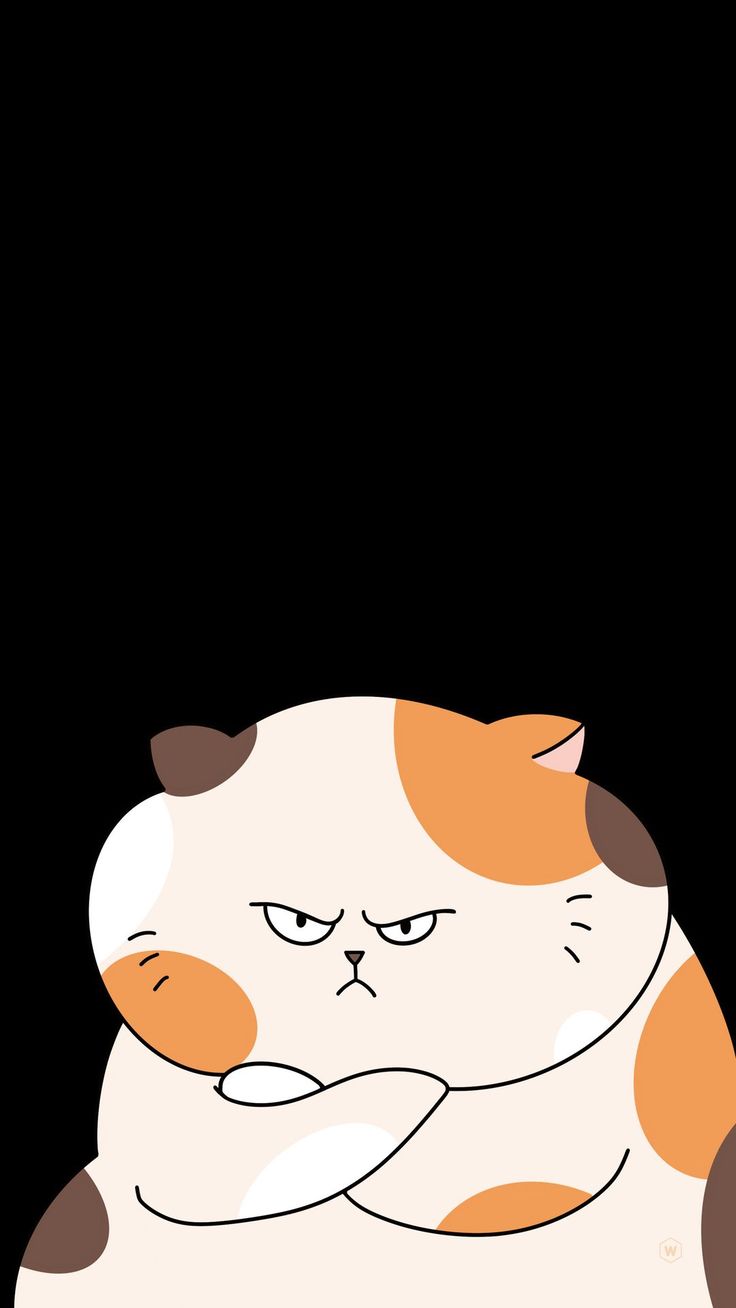 free wallpaper 4K cat, fat cat, pose, funny, art for mobile and desktop