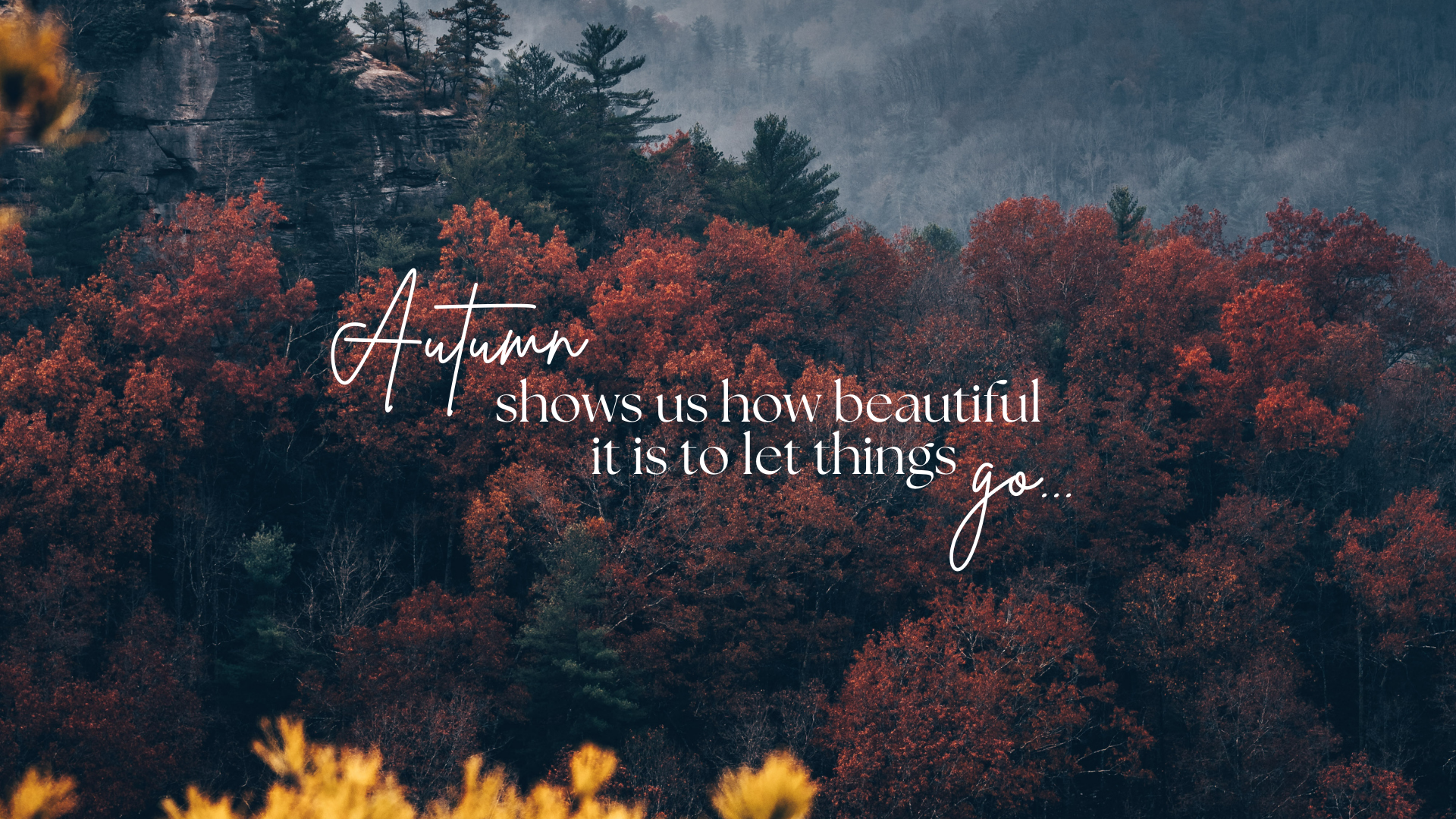 FREE Aesthetic Fall Wallpaper iPhone and Desktop