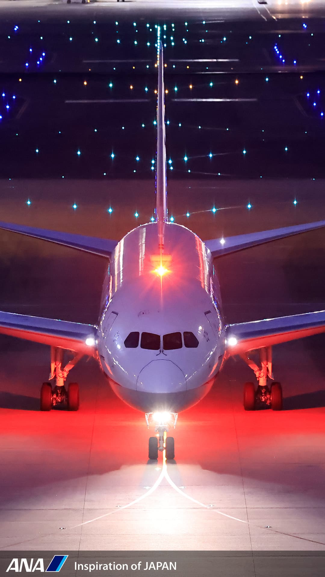 Download Wallpaper. ANA